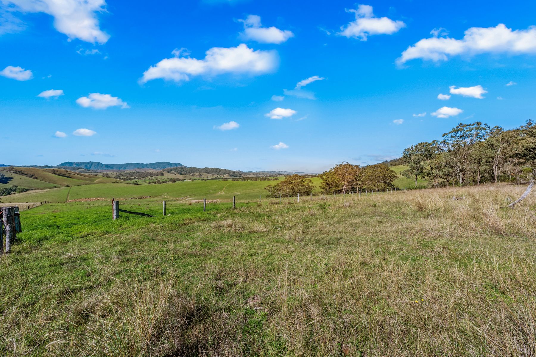Off Goorangoola Road Greenlands — photo 14 of 19