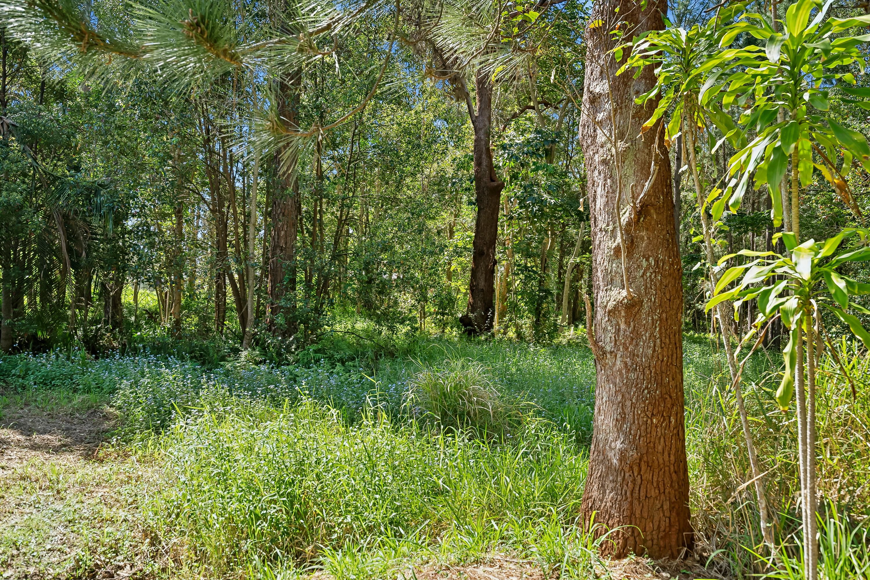 13 Mooloolah Street, Landsborough, QLD 4550 Land for Sale Ray White
