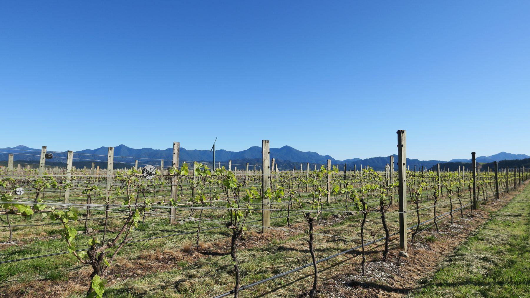 708 Waihopai Valley Road, Waihopai Valley, Marlborough District