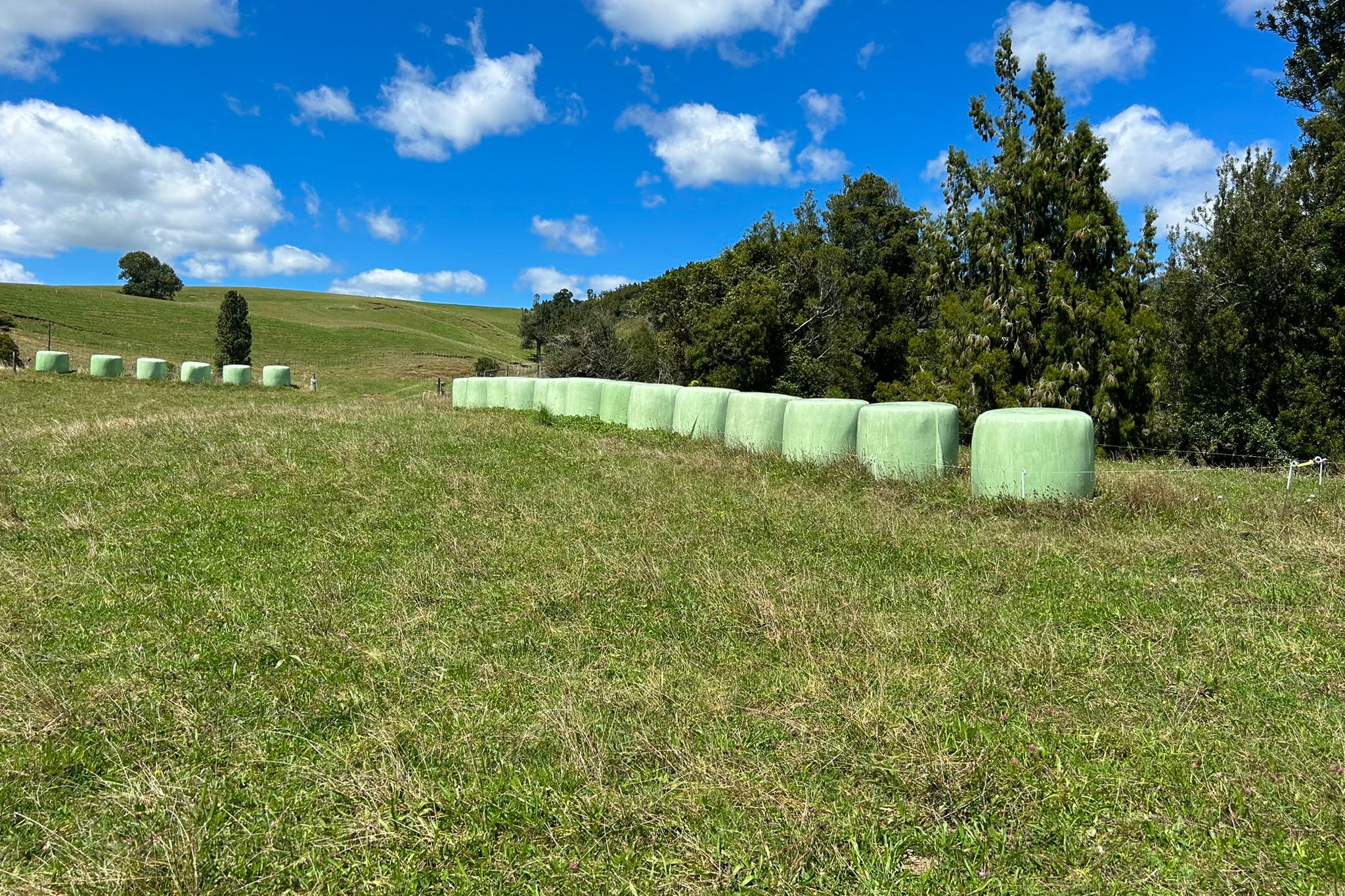 151 Arthur Road, Te Pahu, Waipa District 3285 Rural Finishing