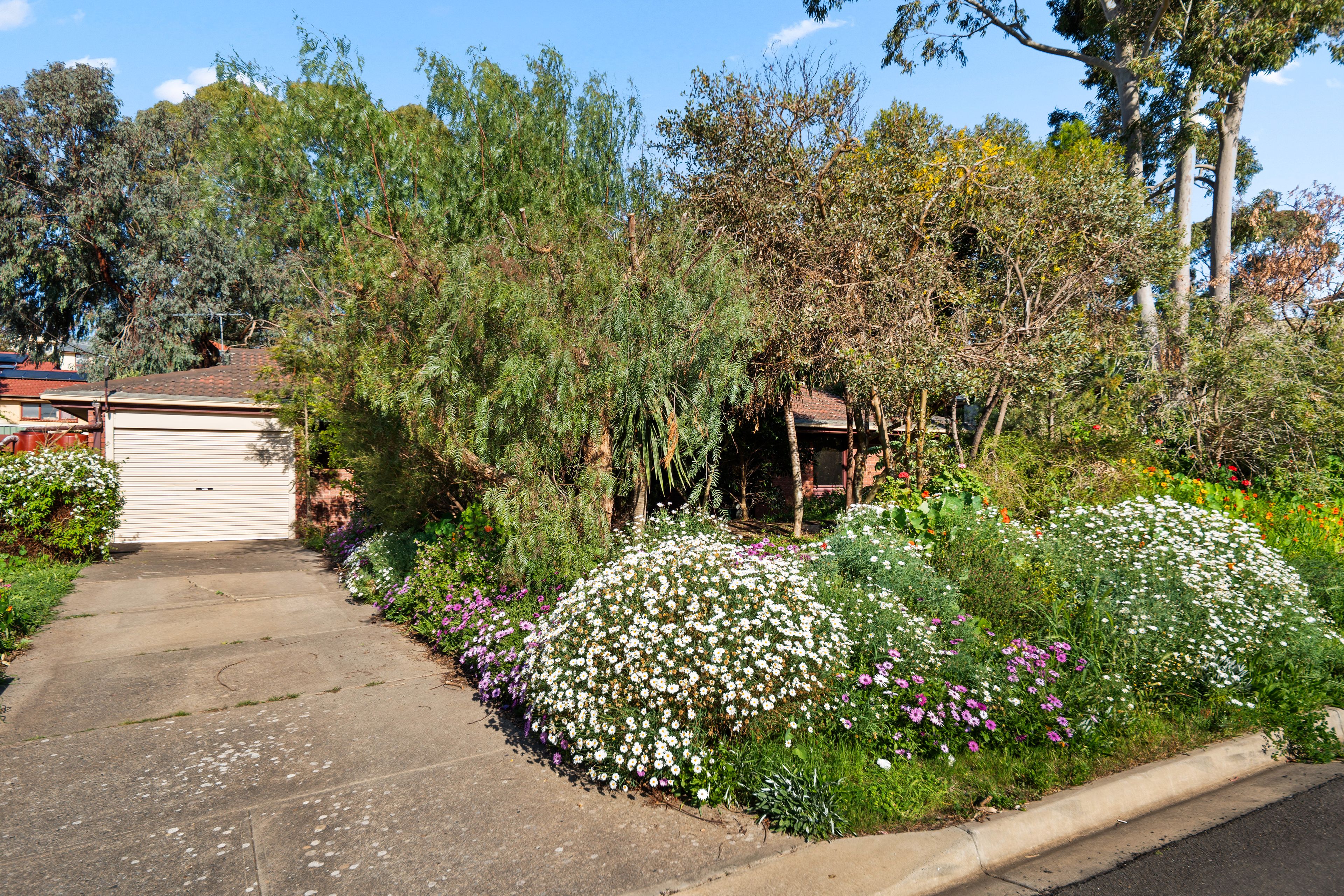 84 Broadmeadow Drive — photo from Ray White Flagstaff Hill