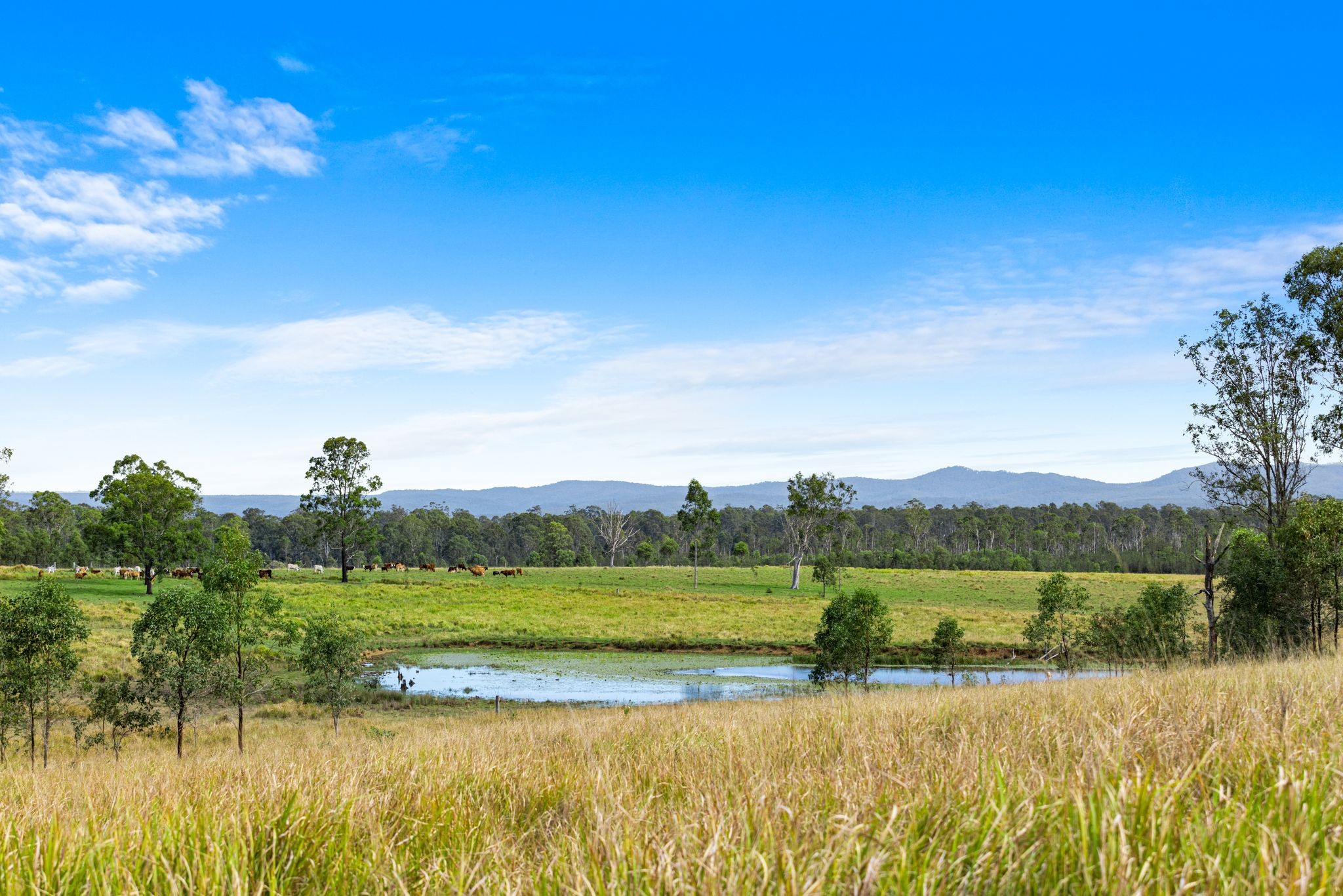 7605 Summerland Way, Rappville, NSW 2469