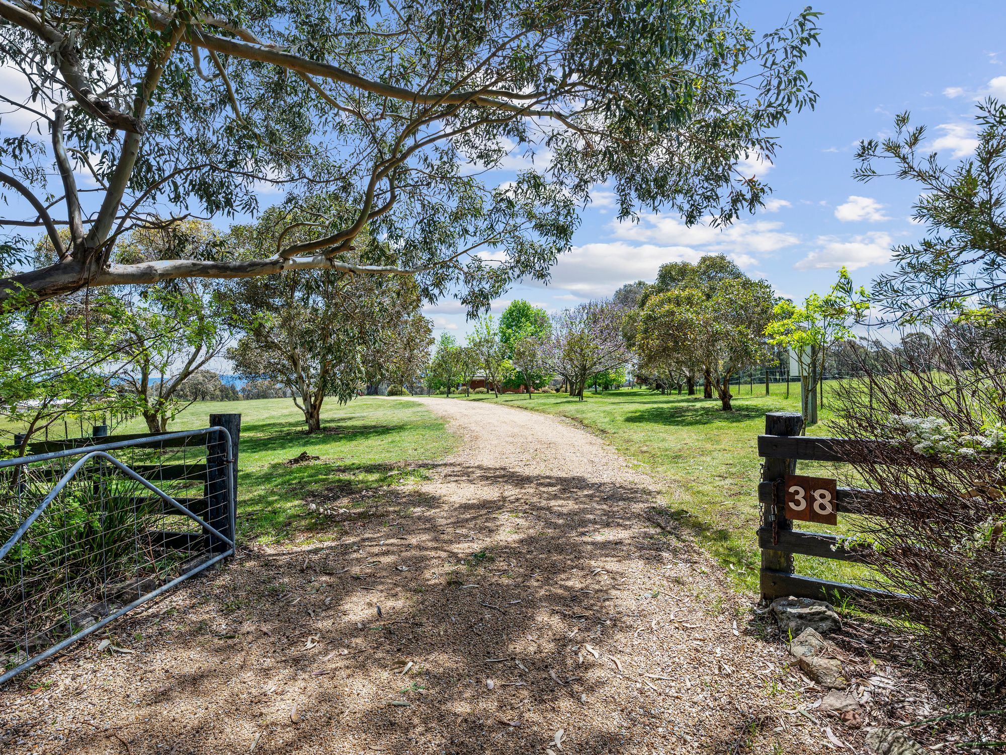 38 Eucalypt Lane — photo from Ray White Mansfield