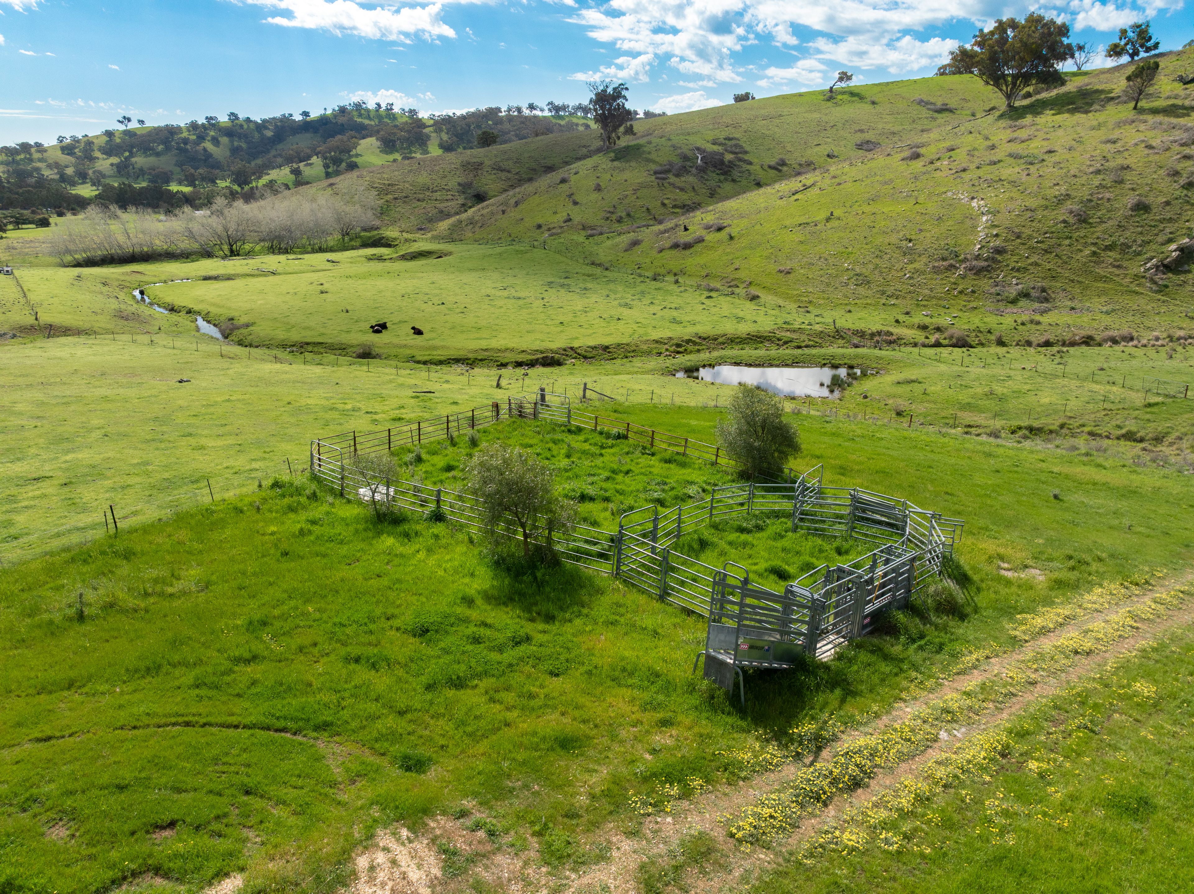 'Pemberley' 57 Bunyarra Lane — photo 13 of 18