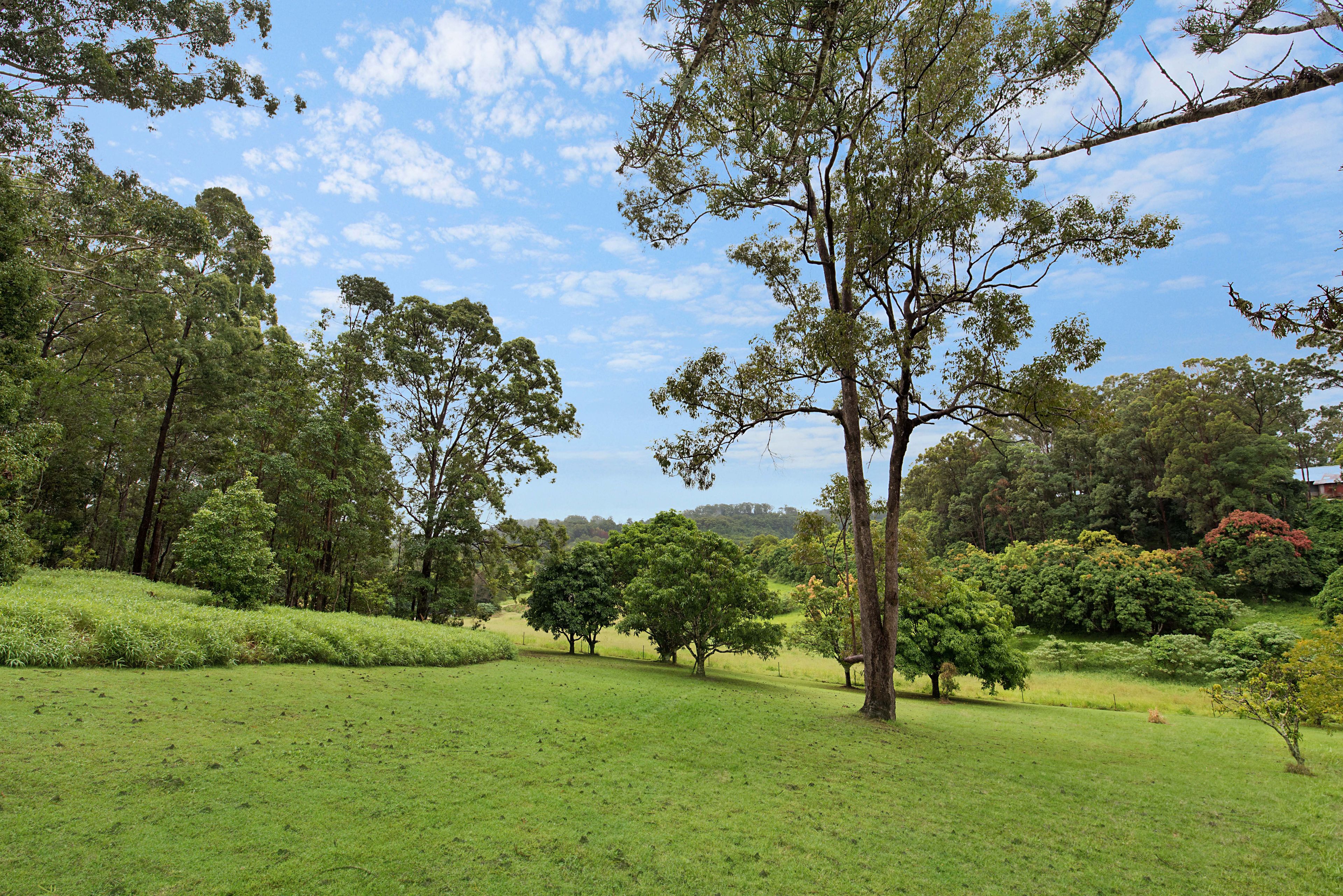 357 Diddillibah Road, Diddillibah, QLD 4559