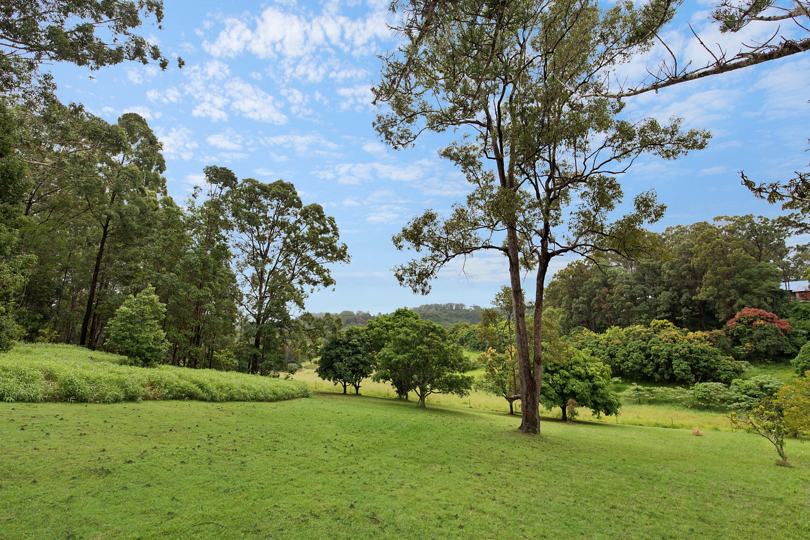 357 Diddillibah Road, Diddillibah, QLD 4559