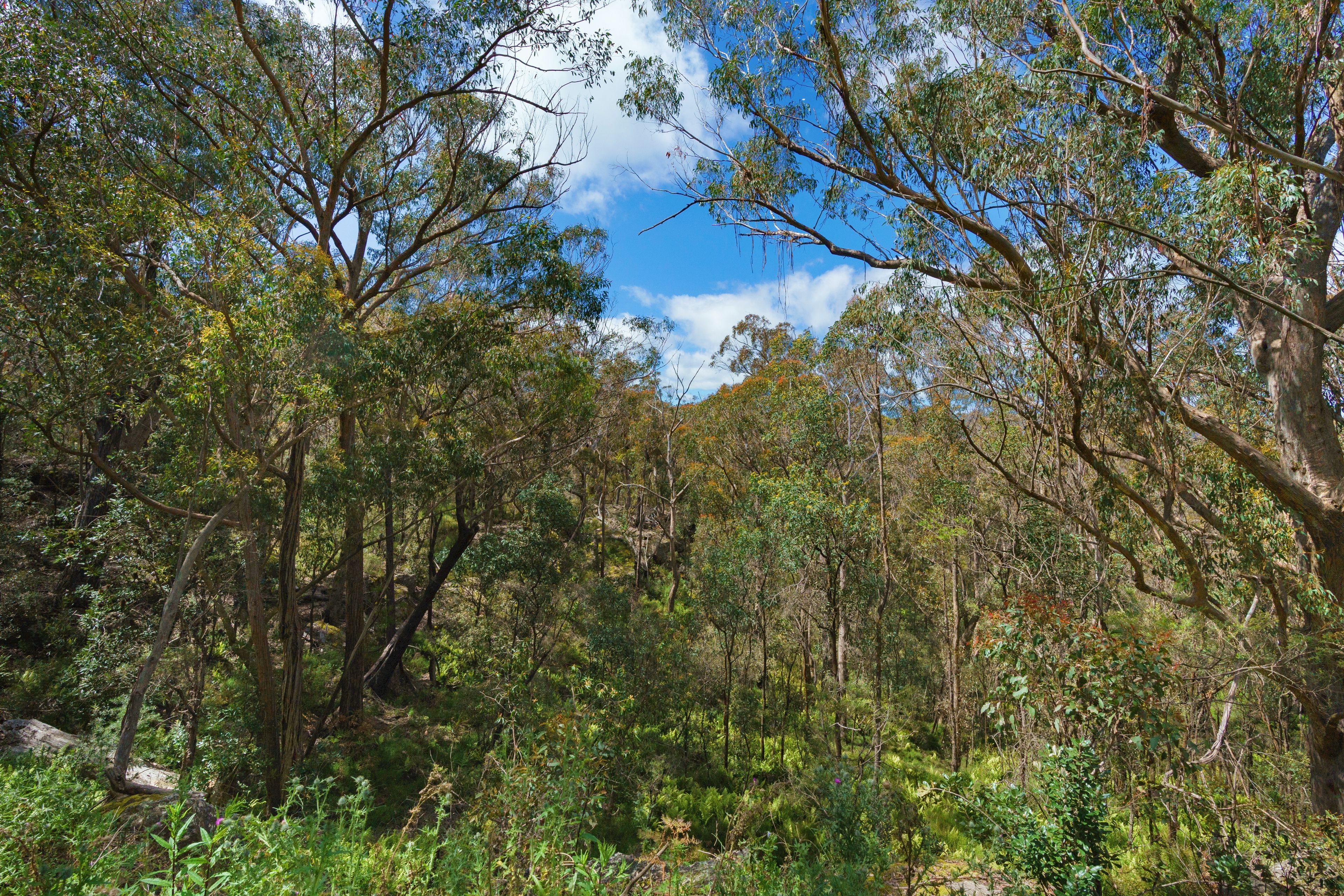 Lot 3 Swifts Lane, Woodlands, NSW 2575