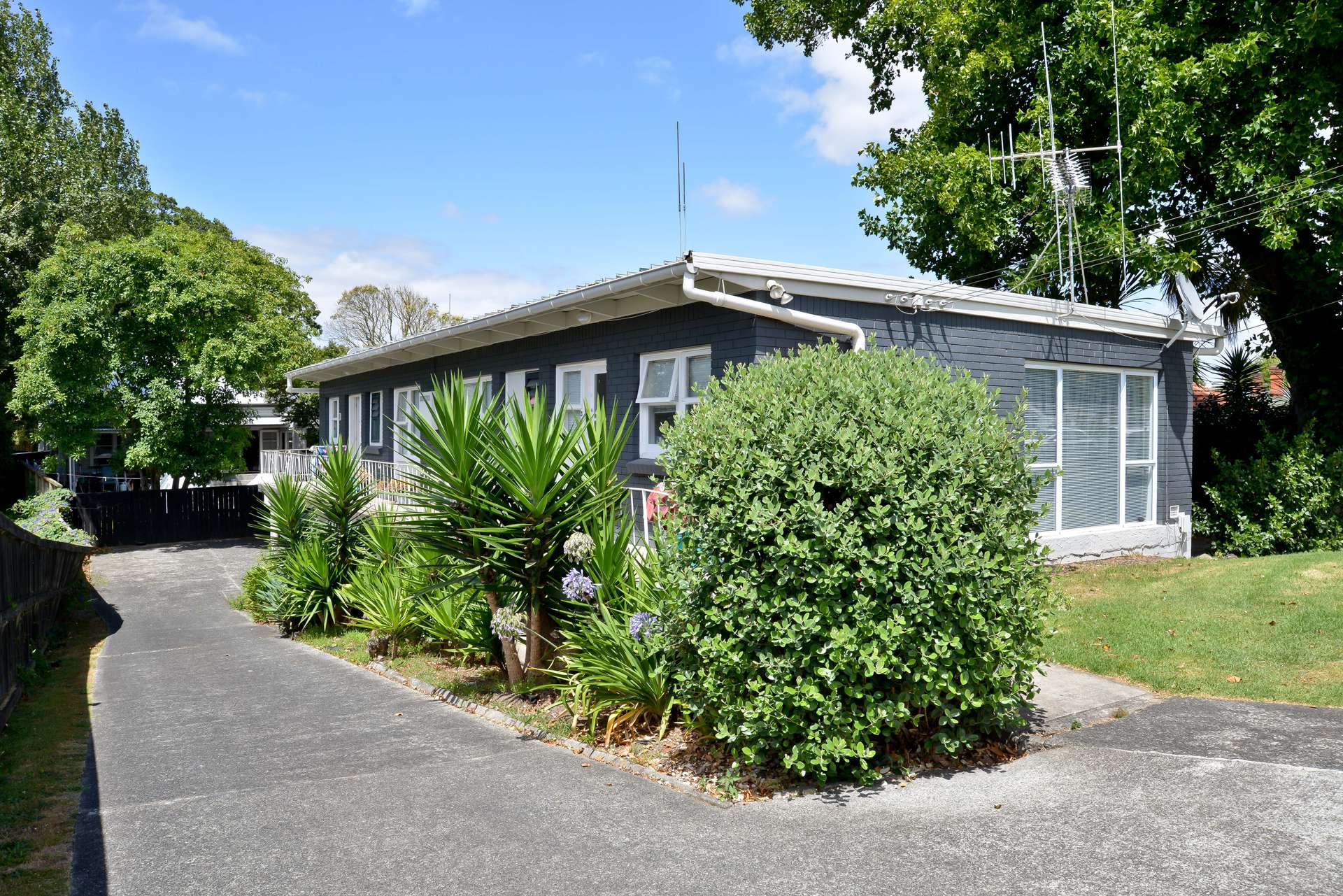 22A Te Aroha Street photo 0