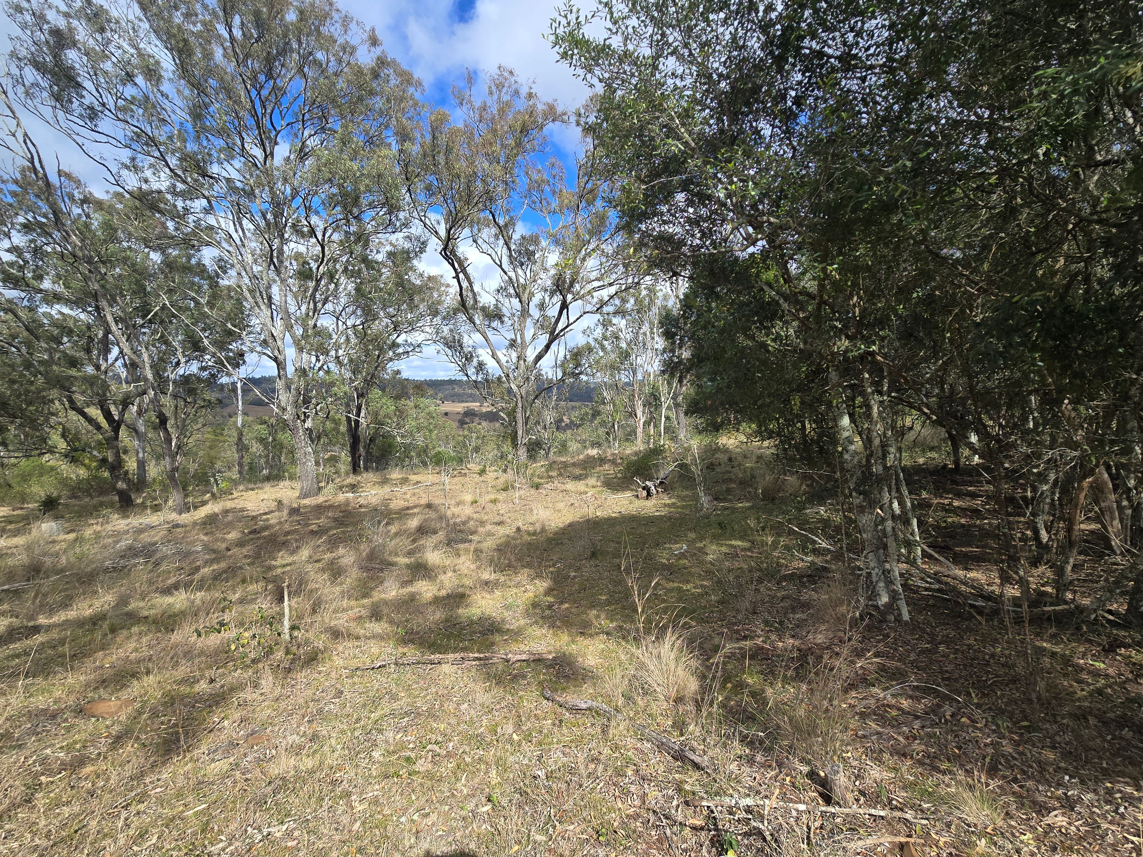 Lot 314 New England Highway — photo 7 of 14