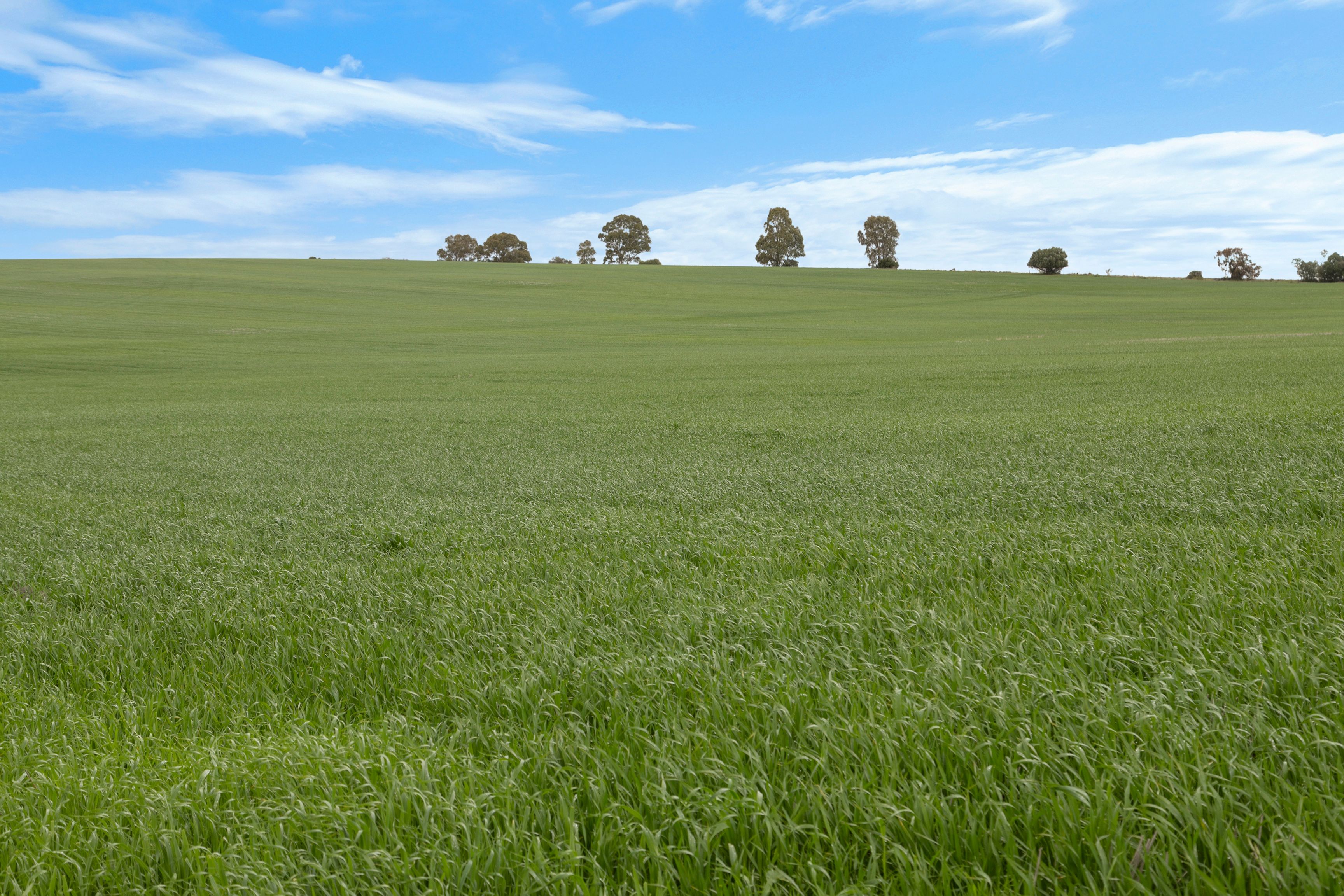 'Broughts'/321 Marola Road, Yacka, SA 5470 Sold Rural Mixed Farming