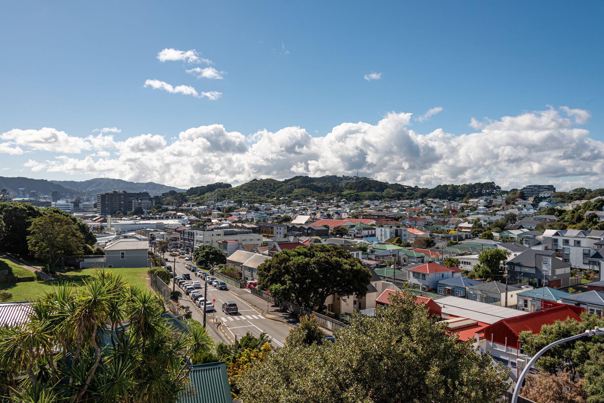 12/52 Russell Terrace, Berhampore, Wellington City