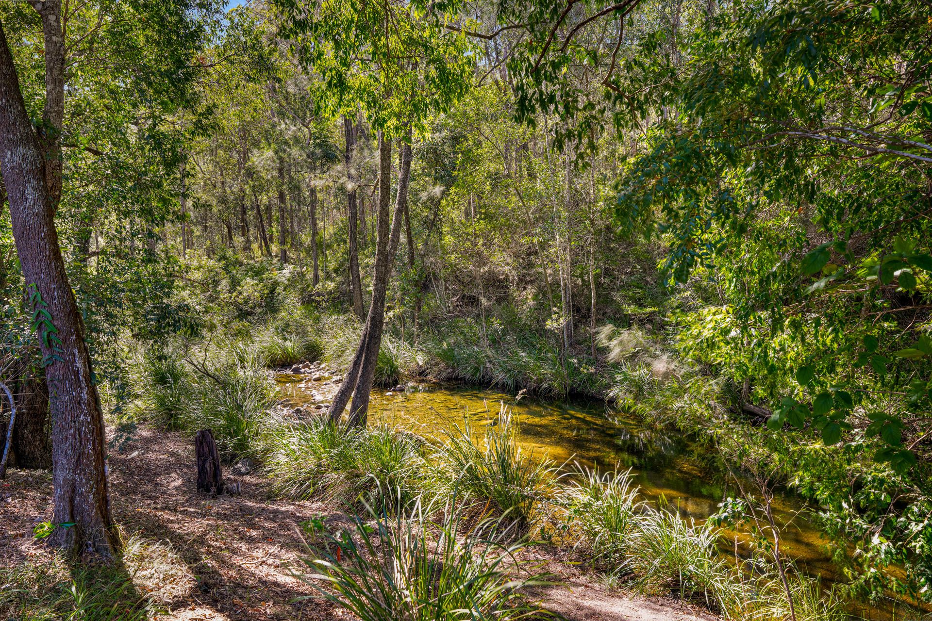 Peaceful Off-Grid Escape Along Amamoor Creek — photo 13 of 16