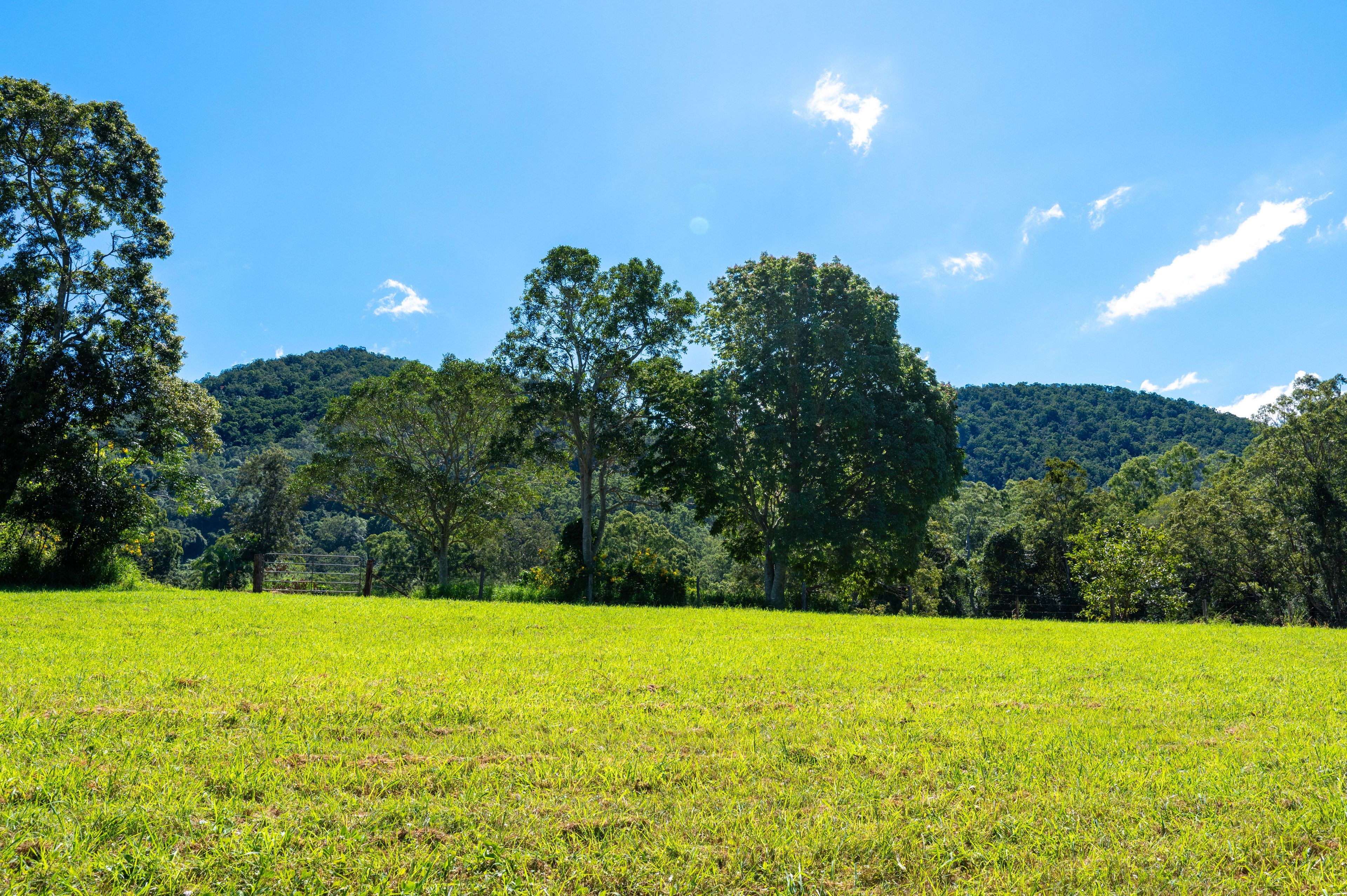 Lot 1 622 Cedar Creek Road, Cedar Creek, QLD 4520
