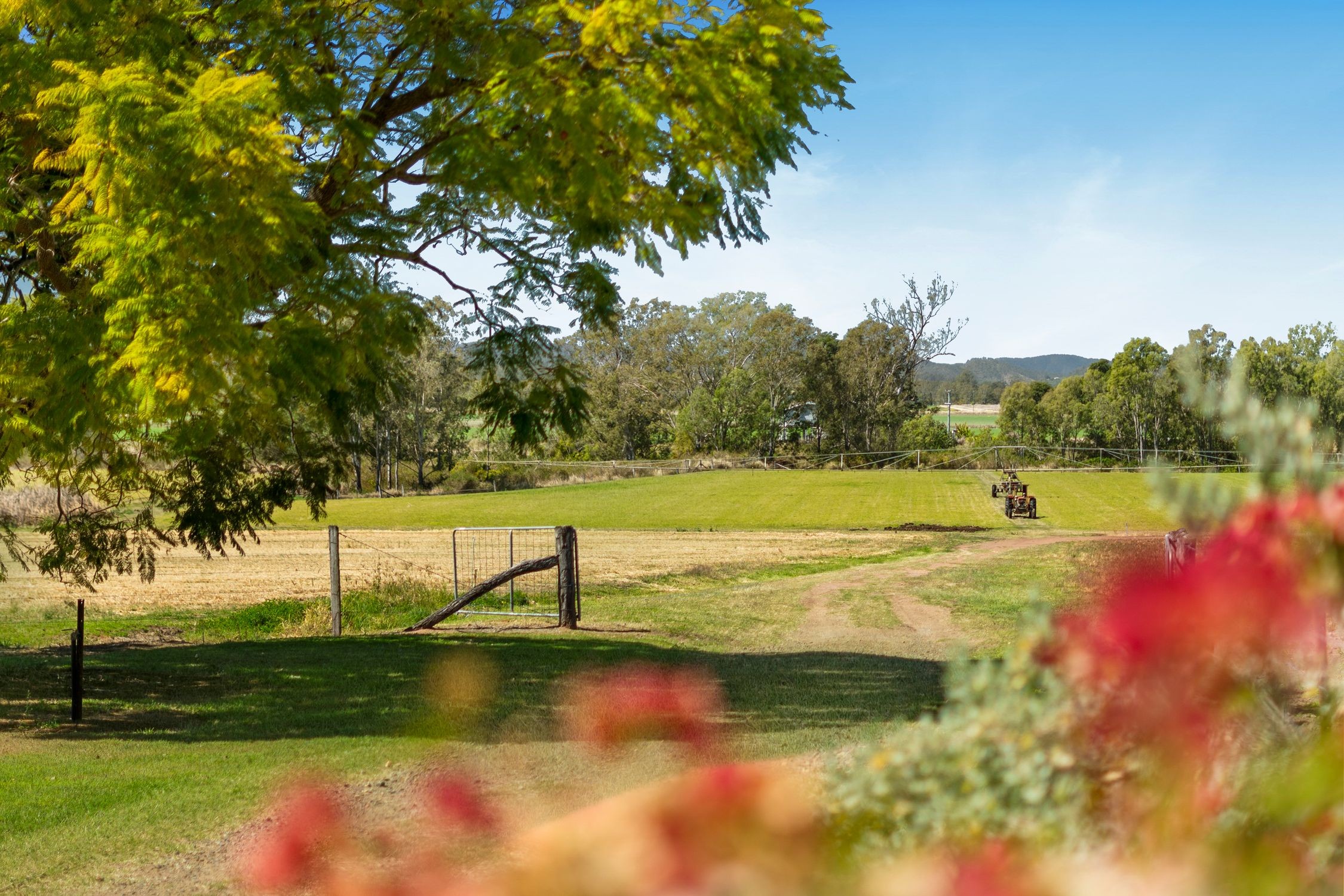 51 Patrick Road, Clarendon, QLD 4311