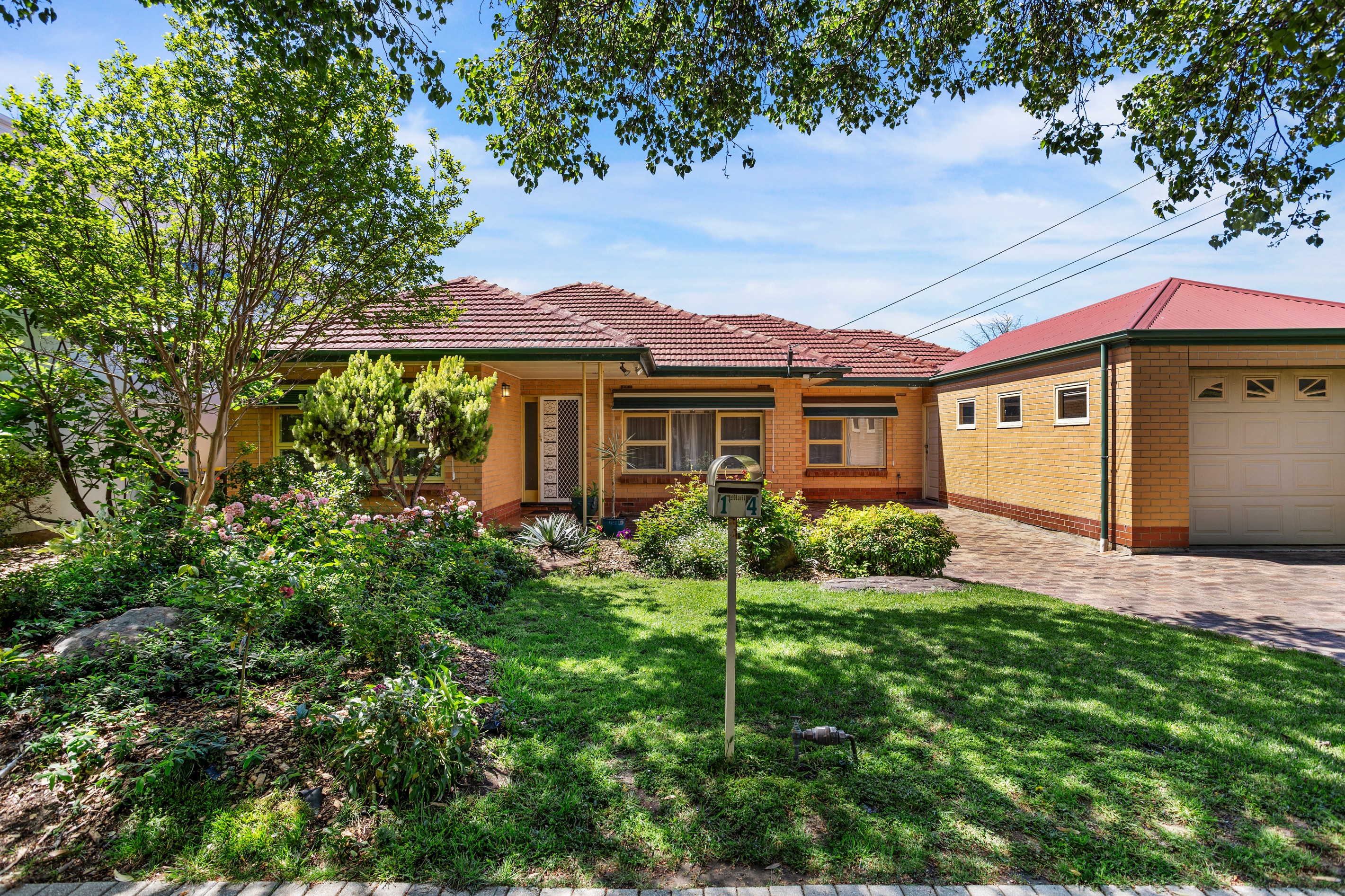 14 Matt Street, Lockleys, SA 5032