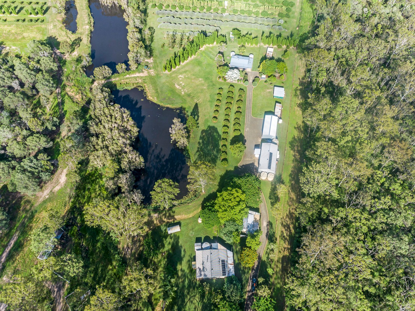 707 Birthamba Road, South Kolan, QLD 4670 Acreage/SemiRural for Sale Ray White Bundaberg