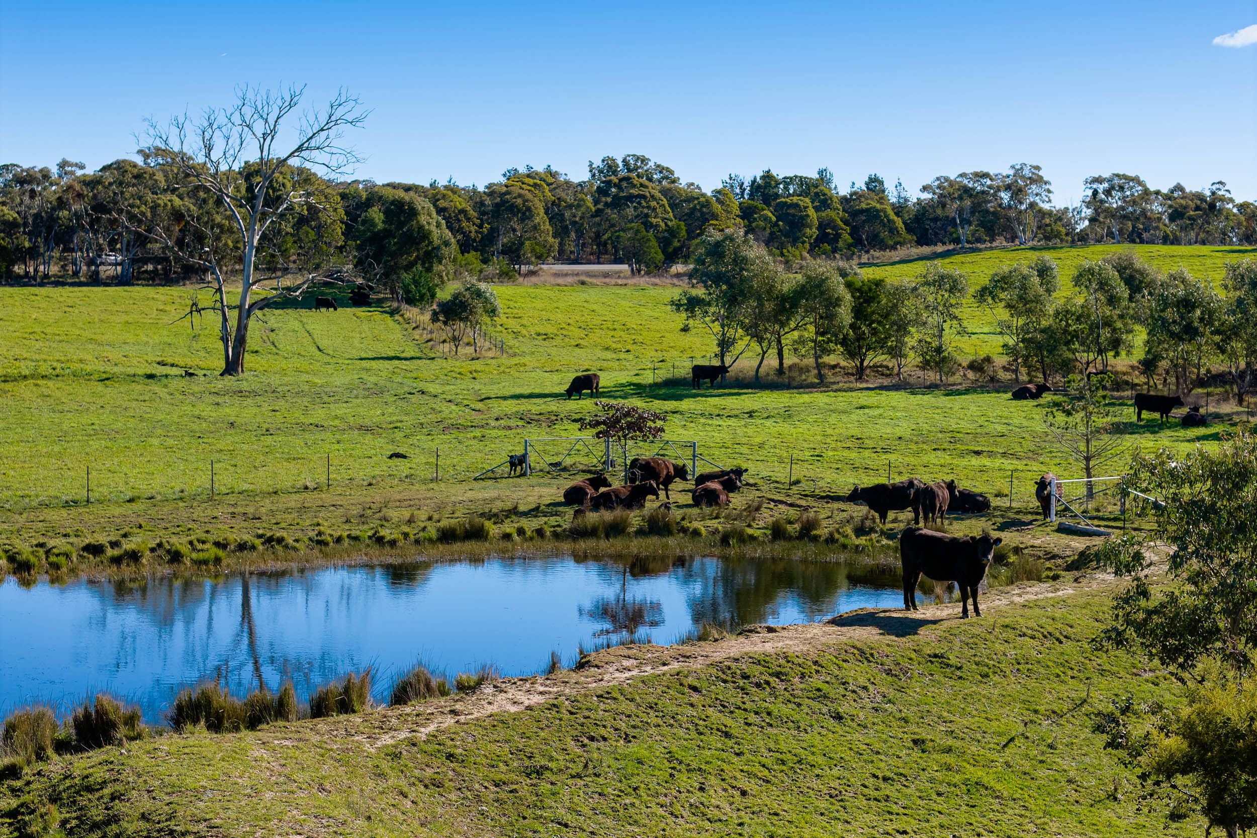 1706 Crookwell Road, Wayo via — photo 7 of 20