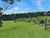 565 Kerikeri Road photo 9