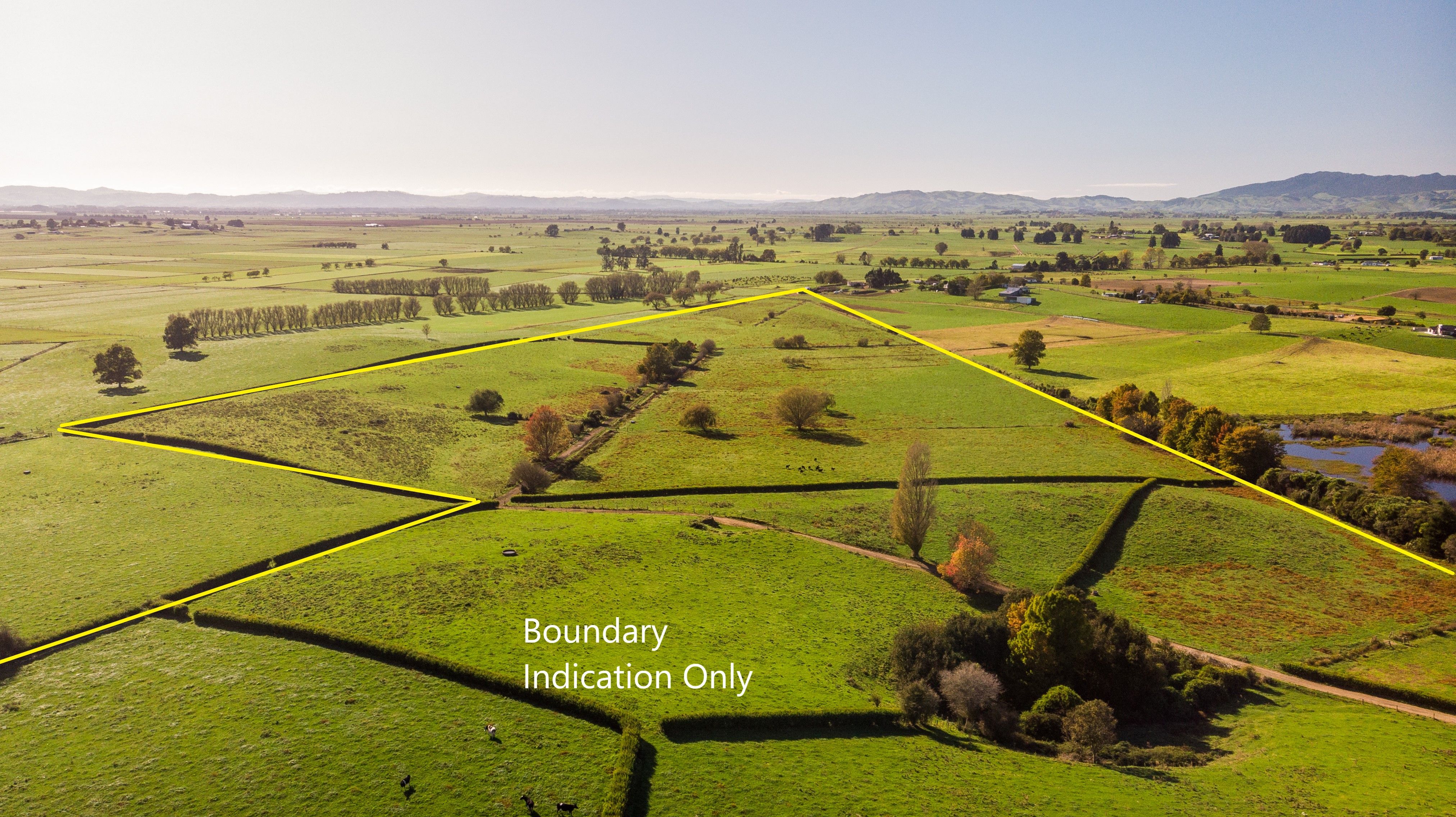 4805 Ohaupo Road, Ohaupo, Waipa District 3803 Sold Rural Grazing