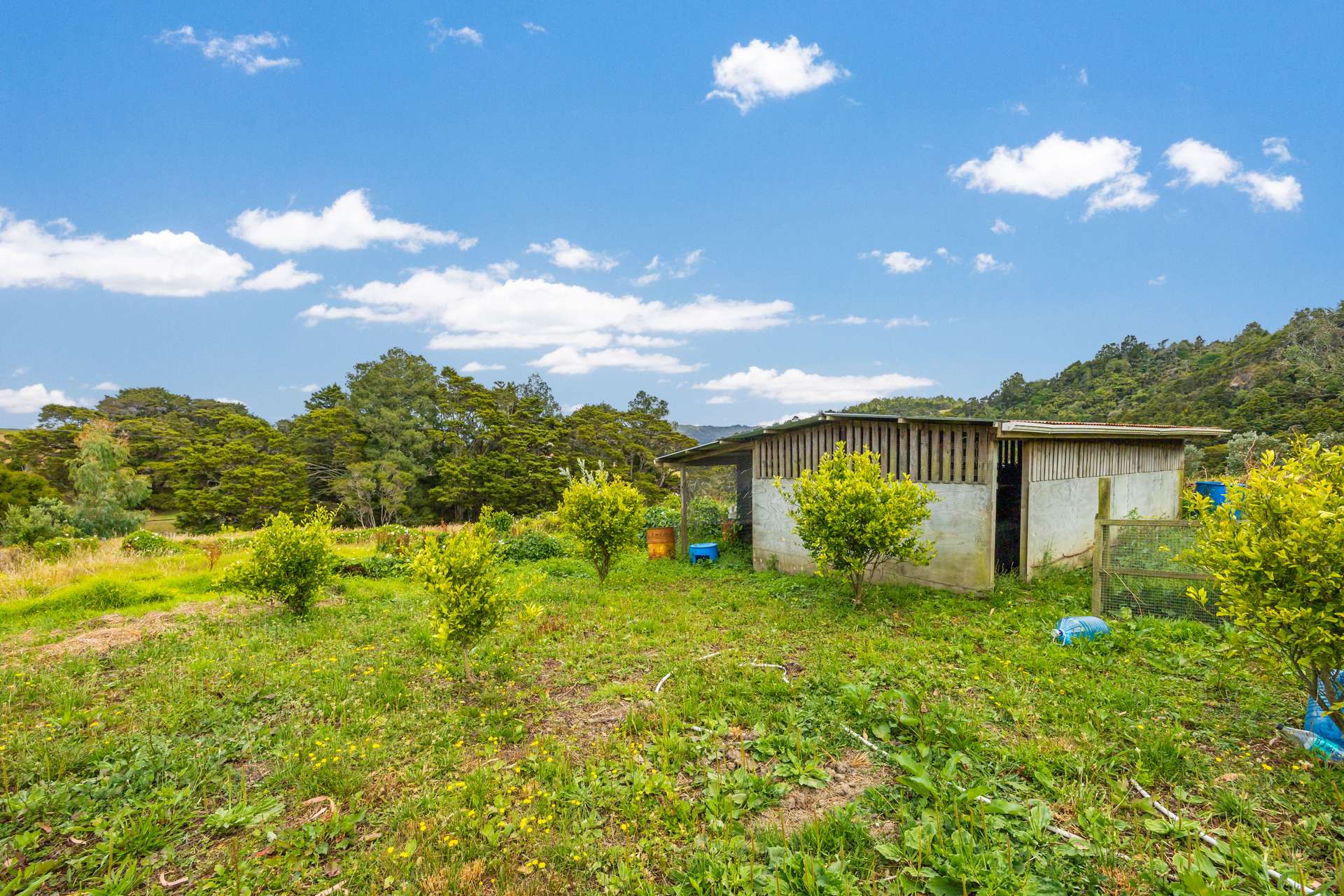 648 West Coast Road photo 18