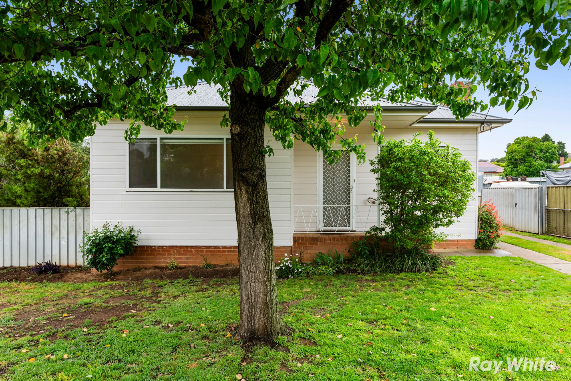 17 Scherger Place — photo from Ray White Wagga Wagga