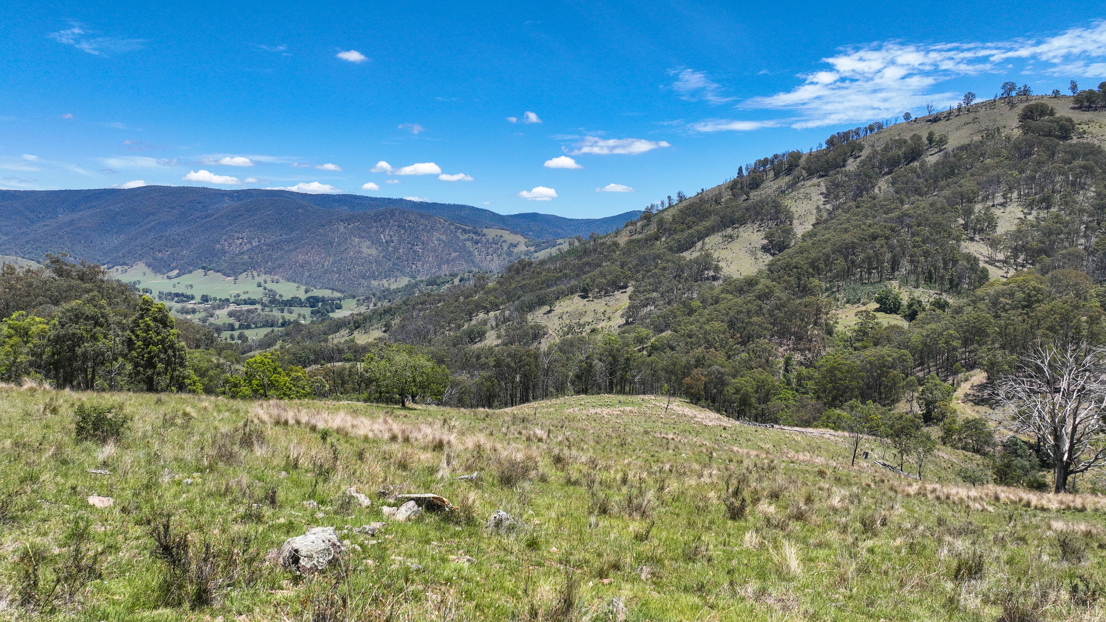 10 Nowendoc Road, Ogunbil, NSW 2340 Rural Property for Sale Ray