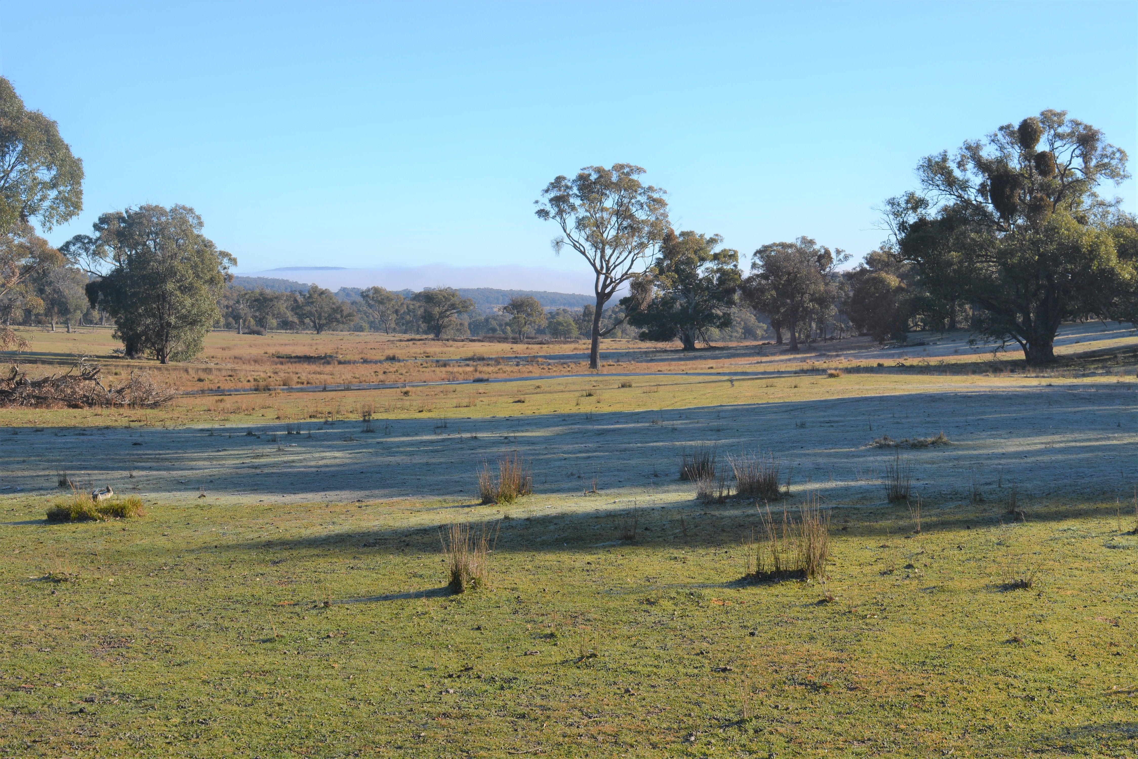 Lot 99 Redground Road, Crookwell, NSW 2583