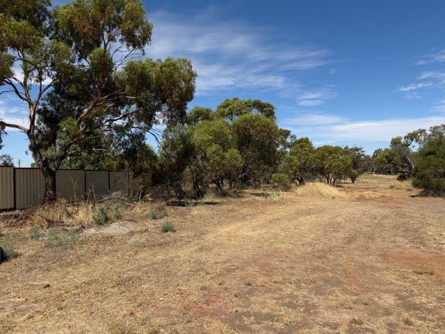 12 Fogarty Street, Mingenew, WA 6522