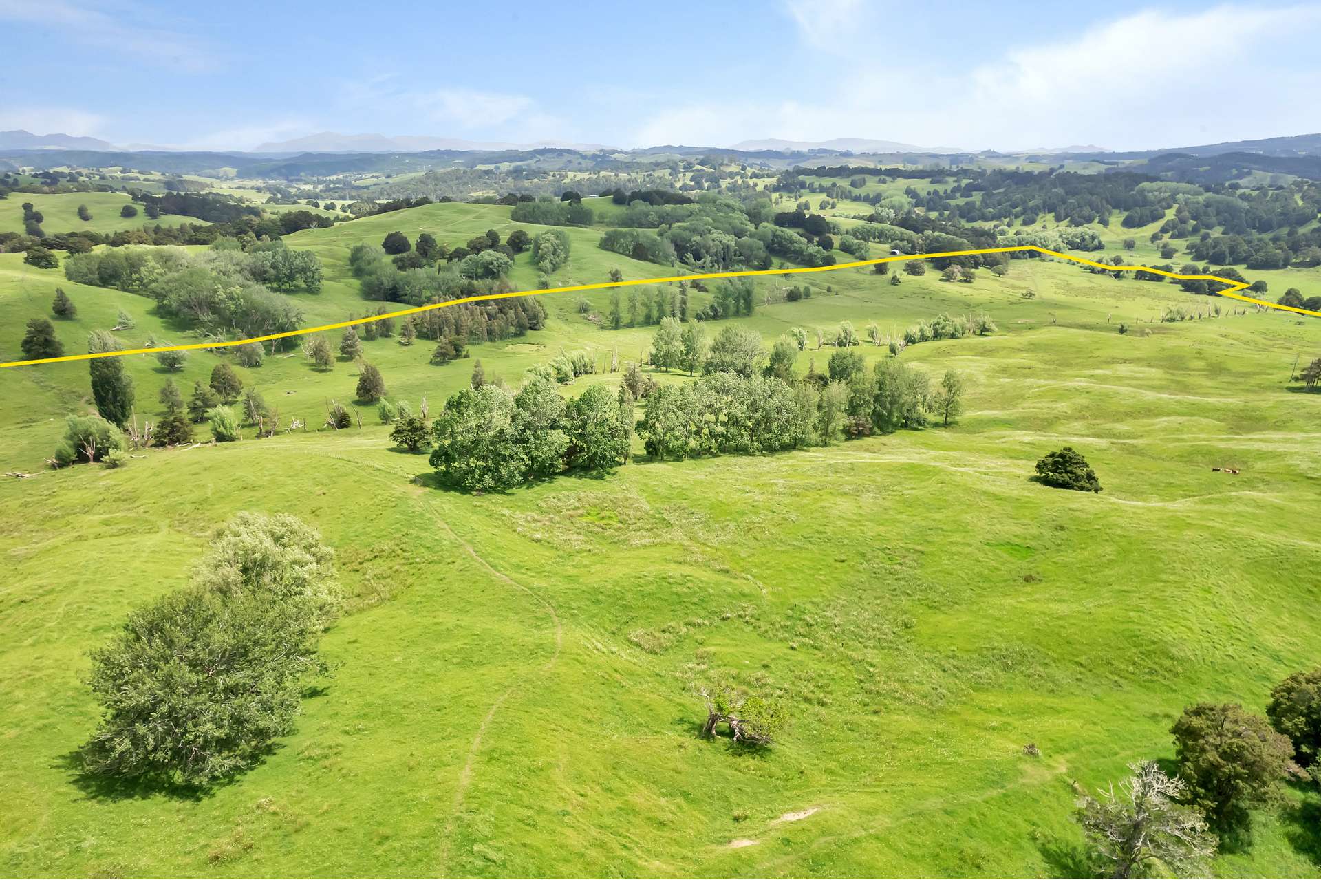 812 Tangihua Road photo 3