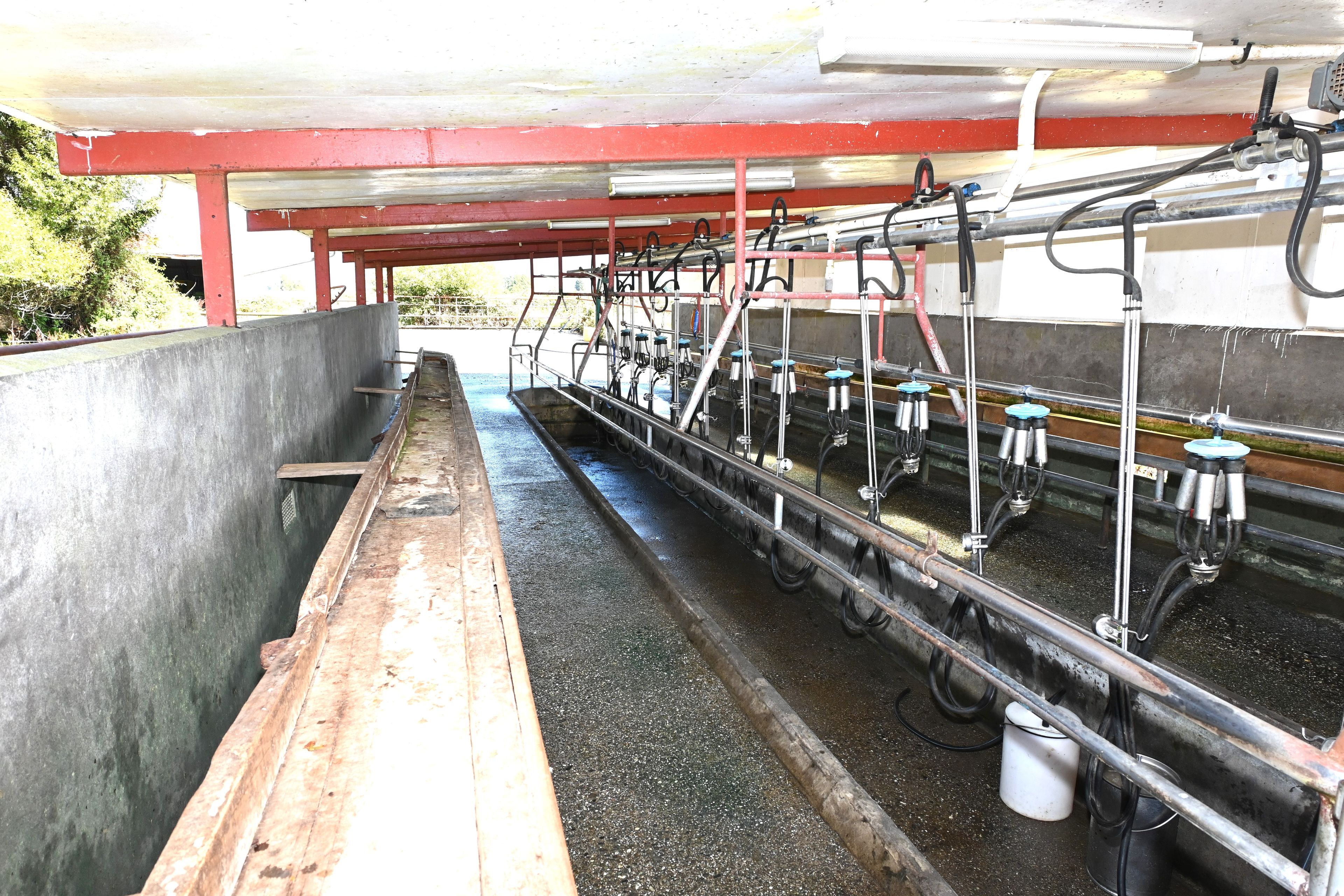 386 Johnston Road, Hokitika, Westland District 7810 Rural Dairy Property for Sale Ray White