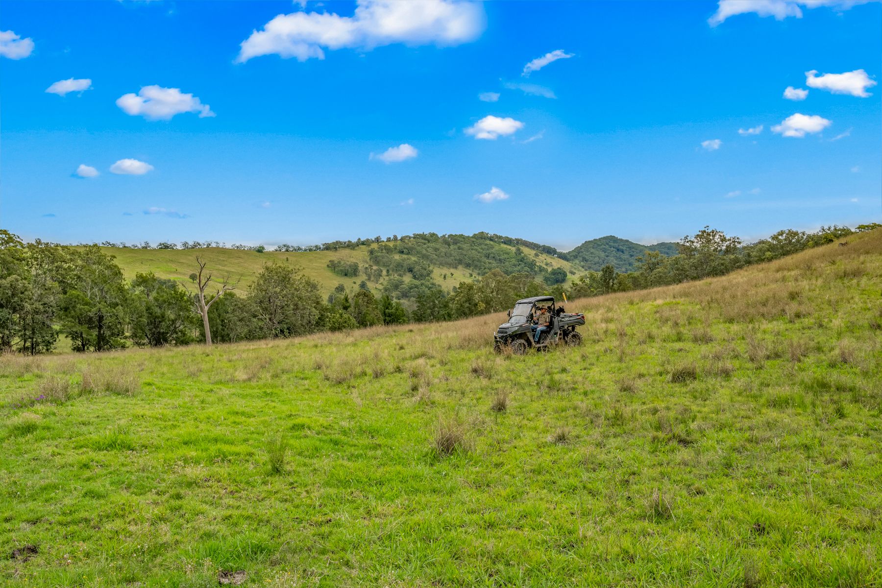 Carrowbrook Road Mount Olive — photo 11 of 15