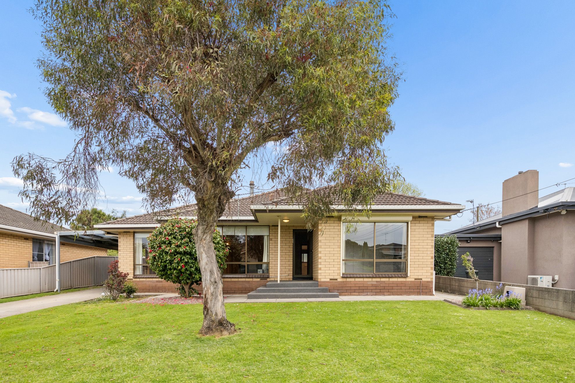 37 Coolabah Street — photo from Ray White Mt Gambier
