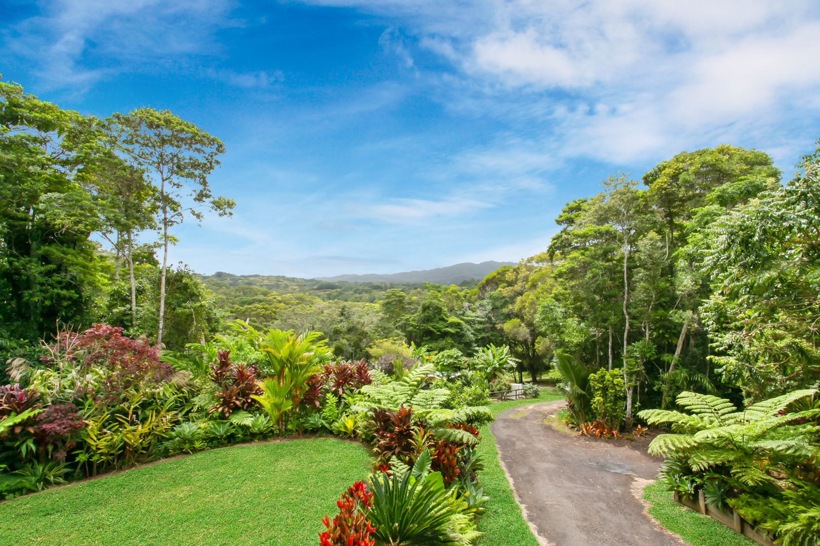 6 Hope Close, Kuranda QLD 4881