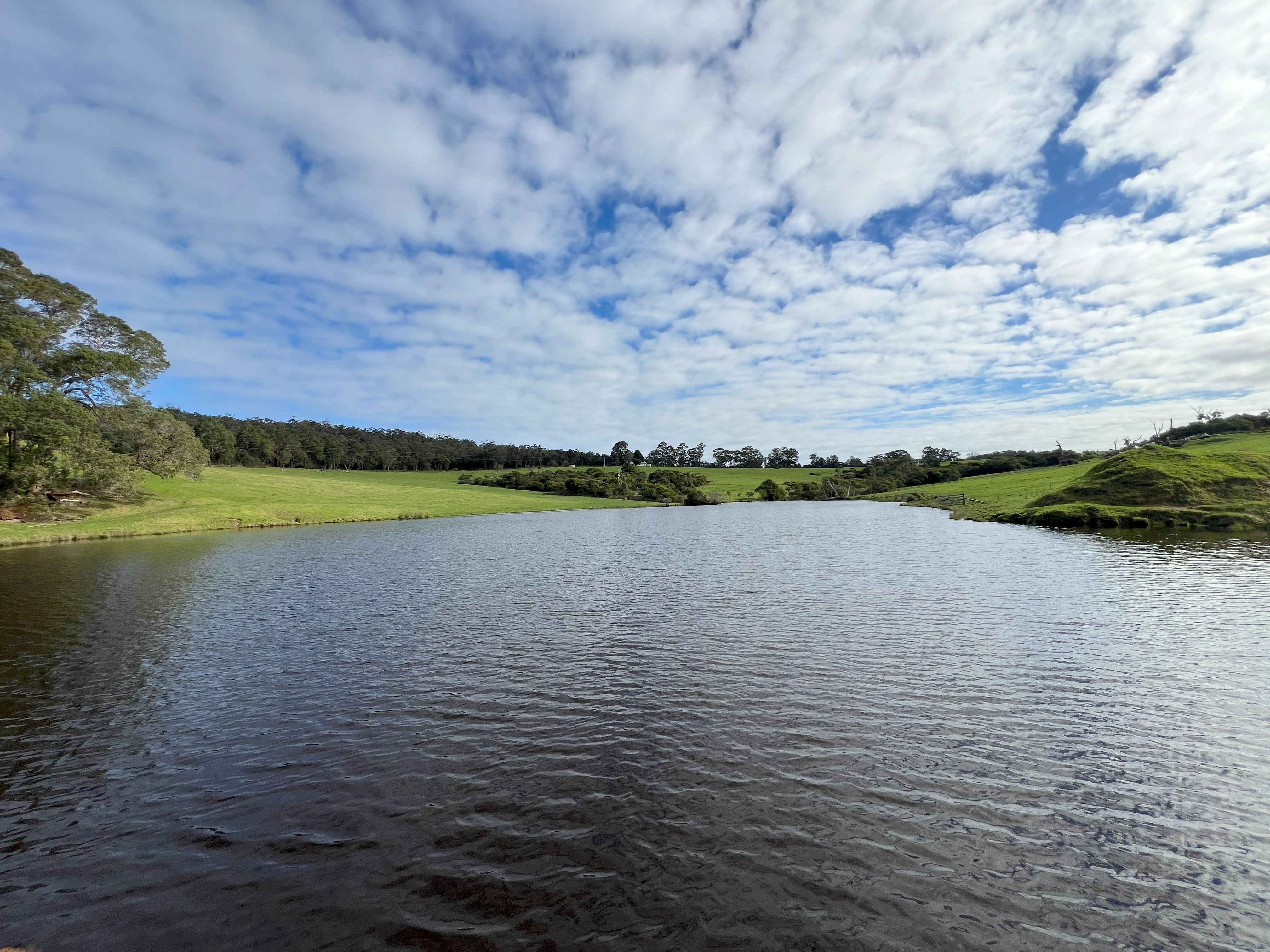 202 Dingo Flat Road