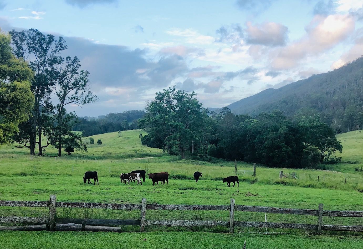 1728 Mill Creek Road, Wards River, NSW 2422