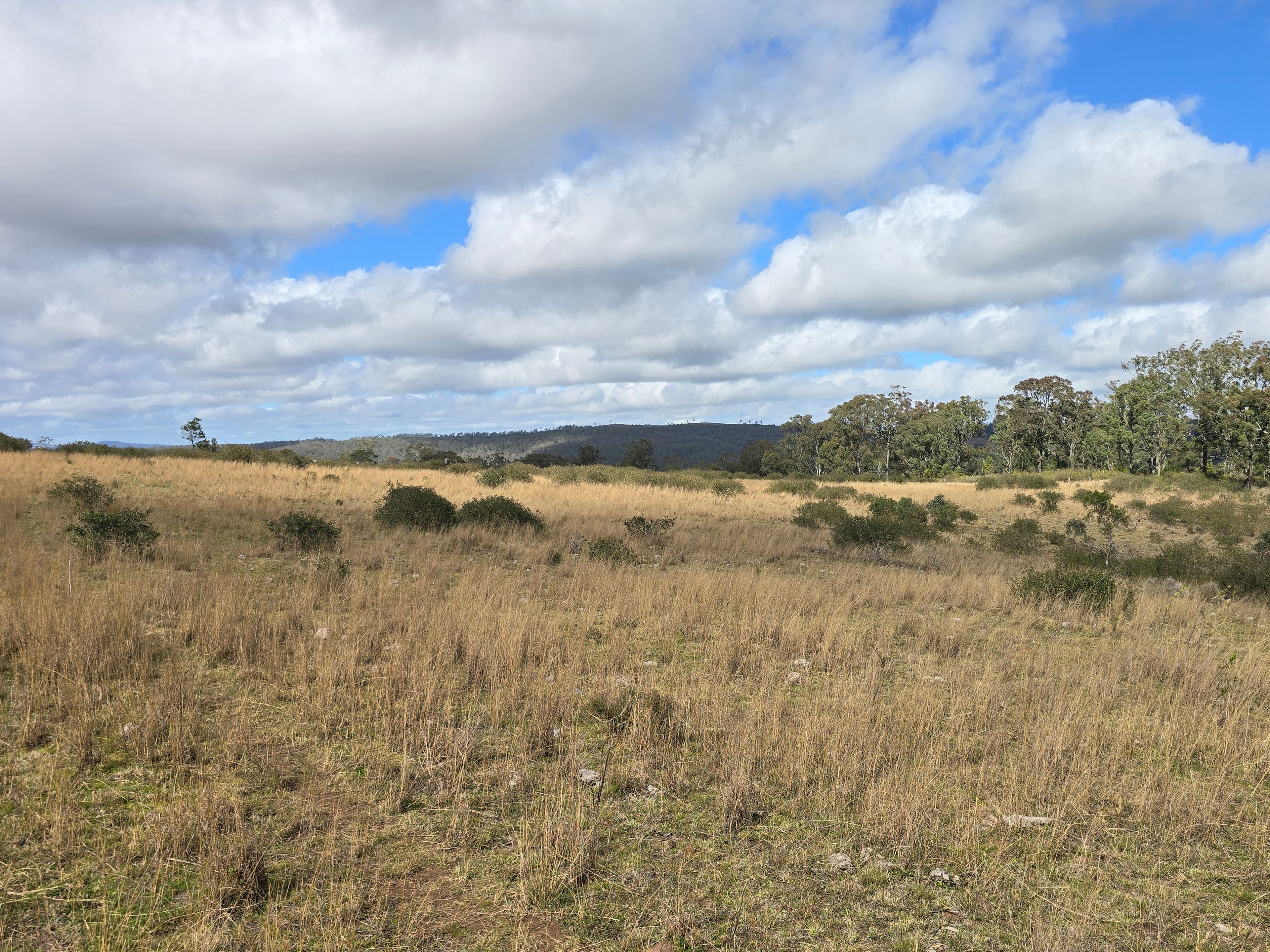 Lot 314 New England Highway — photo 13 of 14