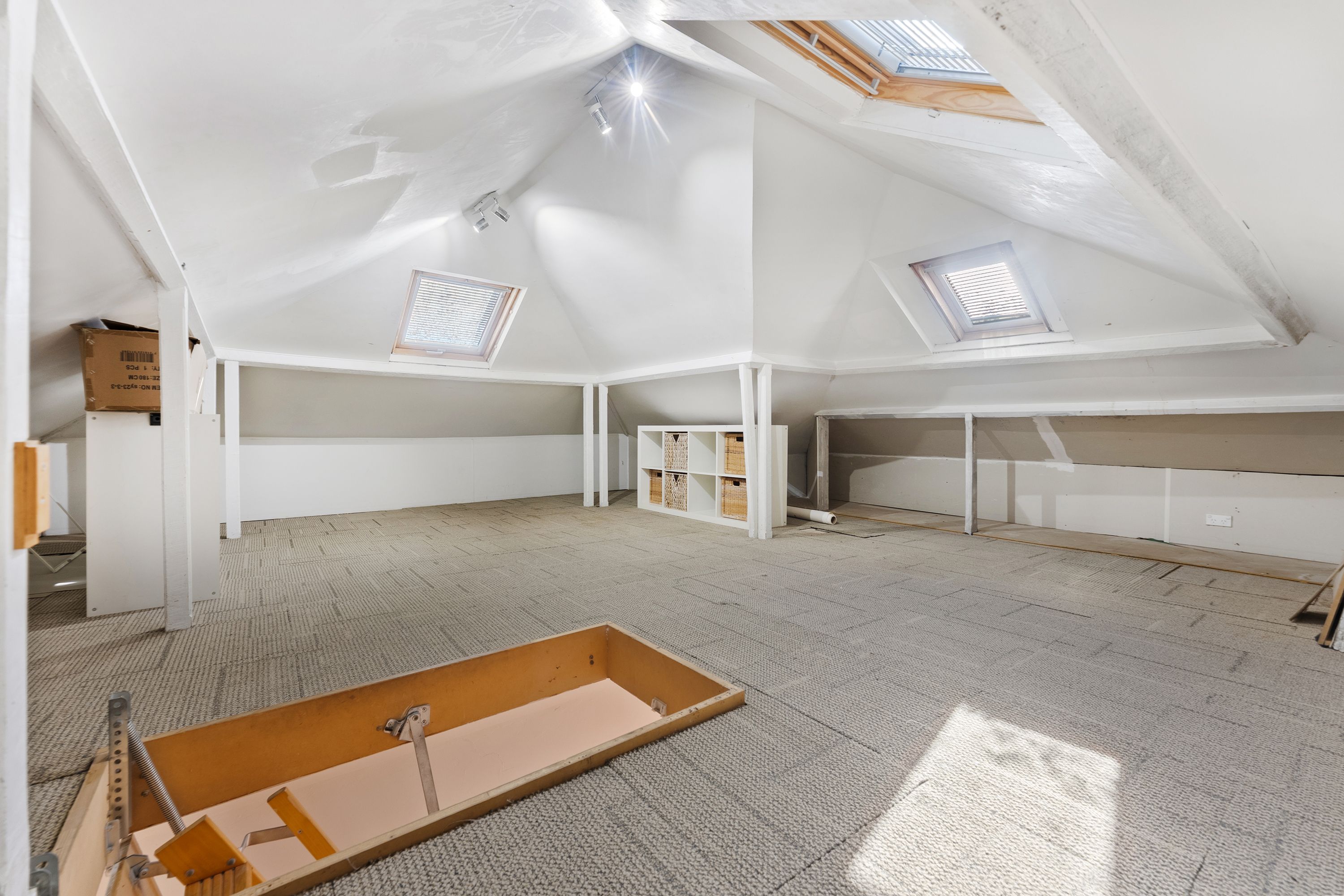 46 Cecilia Street — photo 13 of 19