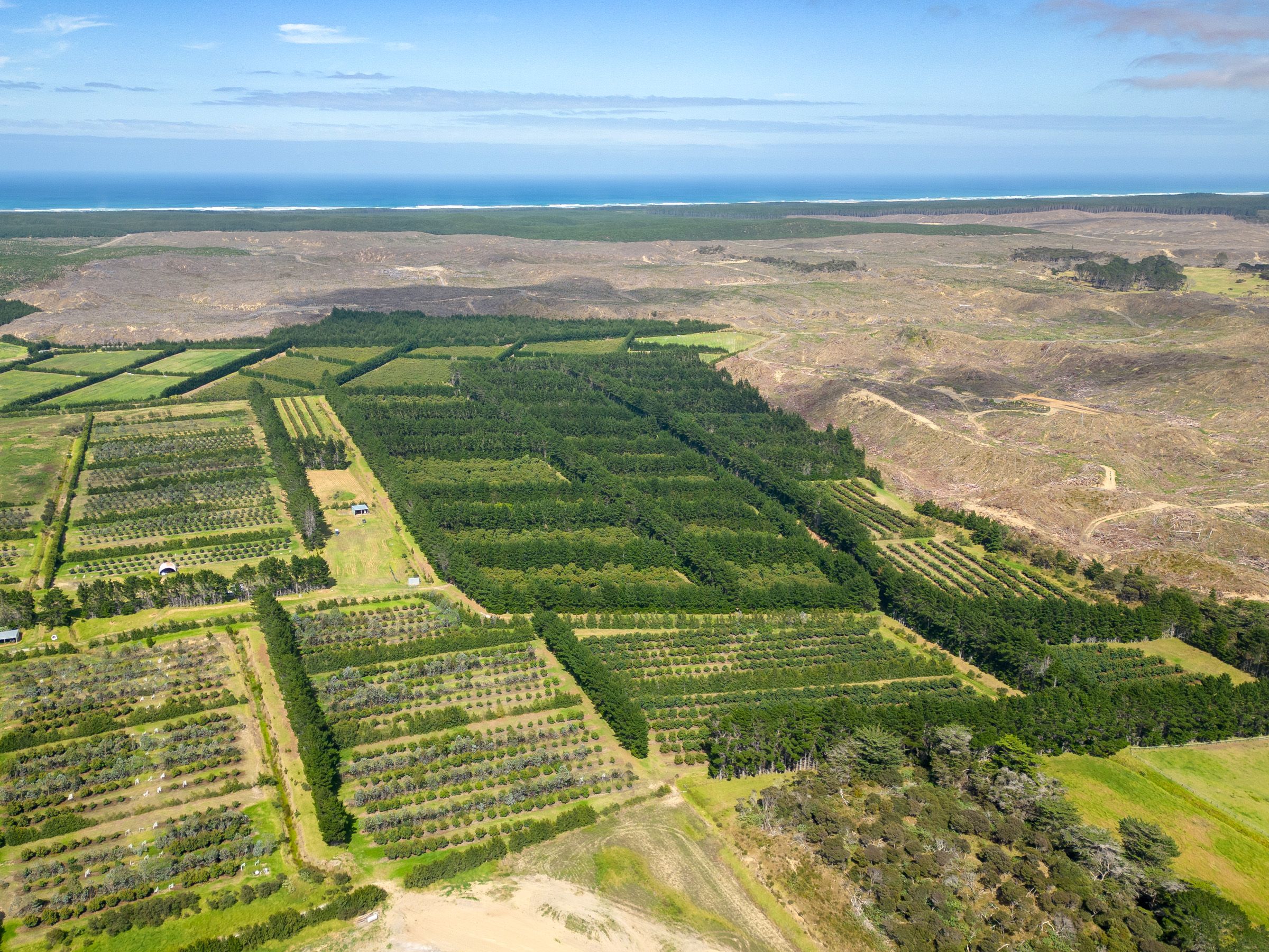 373 Kimberley Road, Ngataki, Far North District