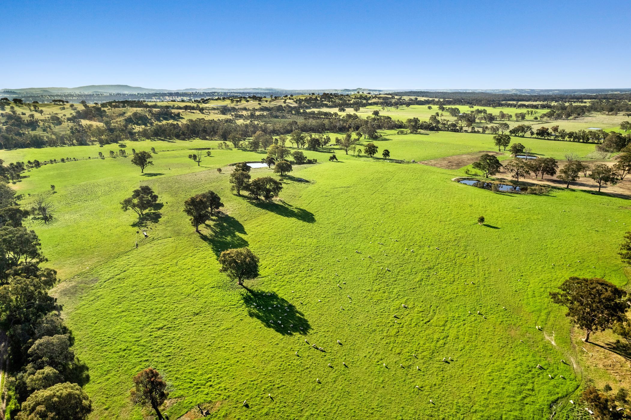 189 Siddles Road, Redesdale, VIC 3444