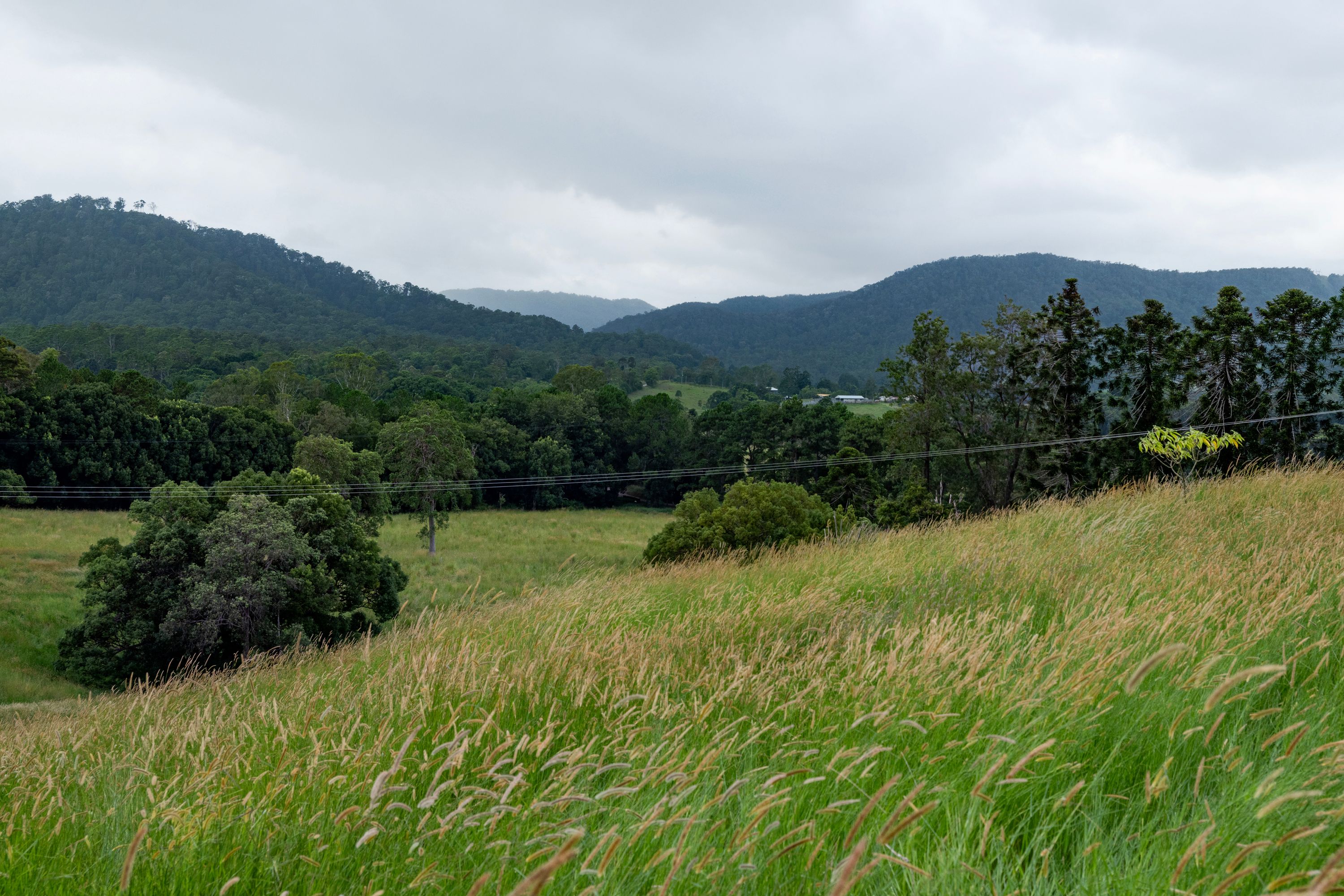 43 Cutmore Road, Obi Obi, QLD 4574