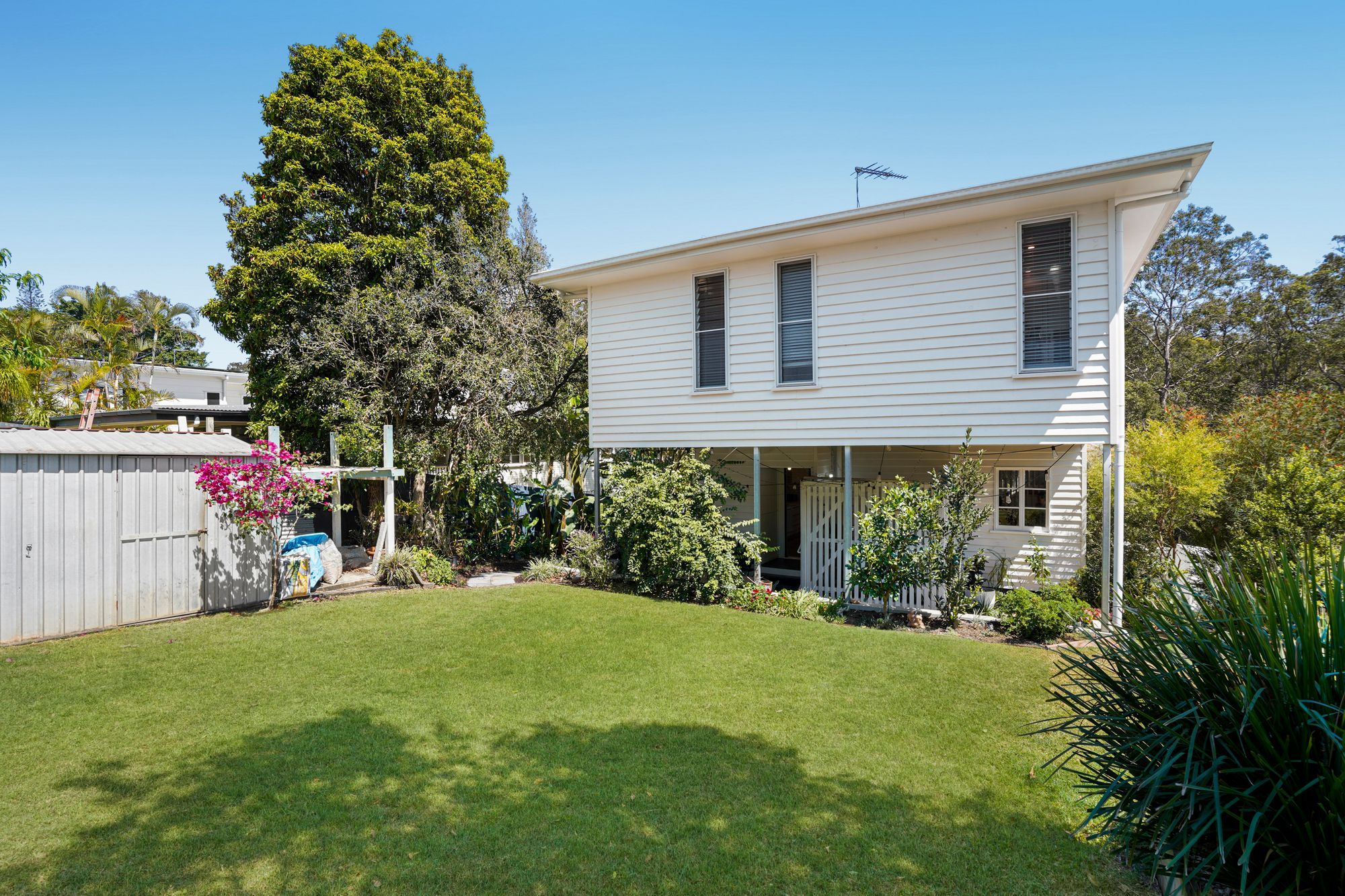 105 Margate Street — photo 15 of 28