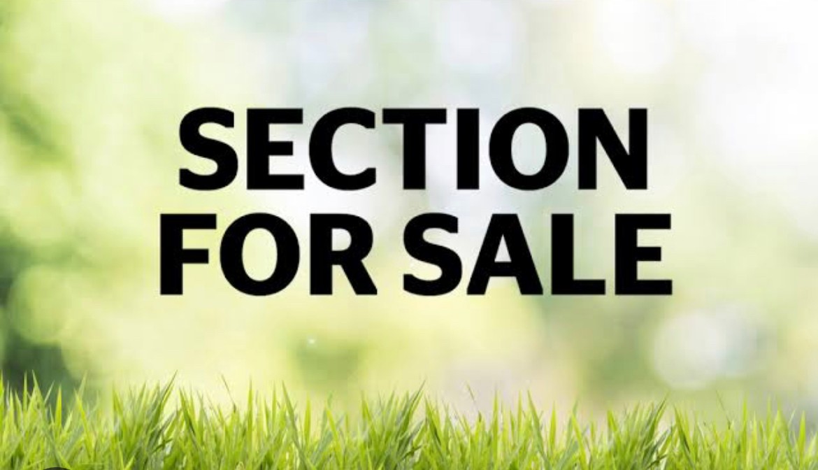 14 Pirihonga Road, Flat Bush, Manukau City