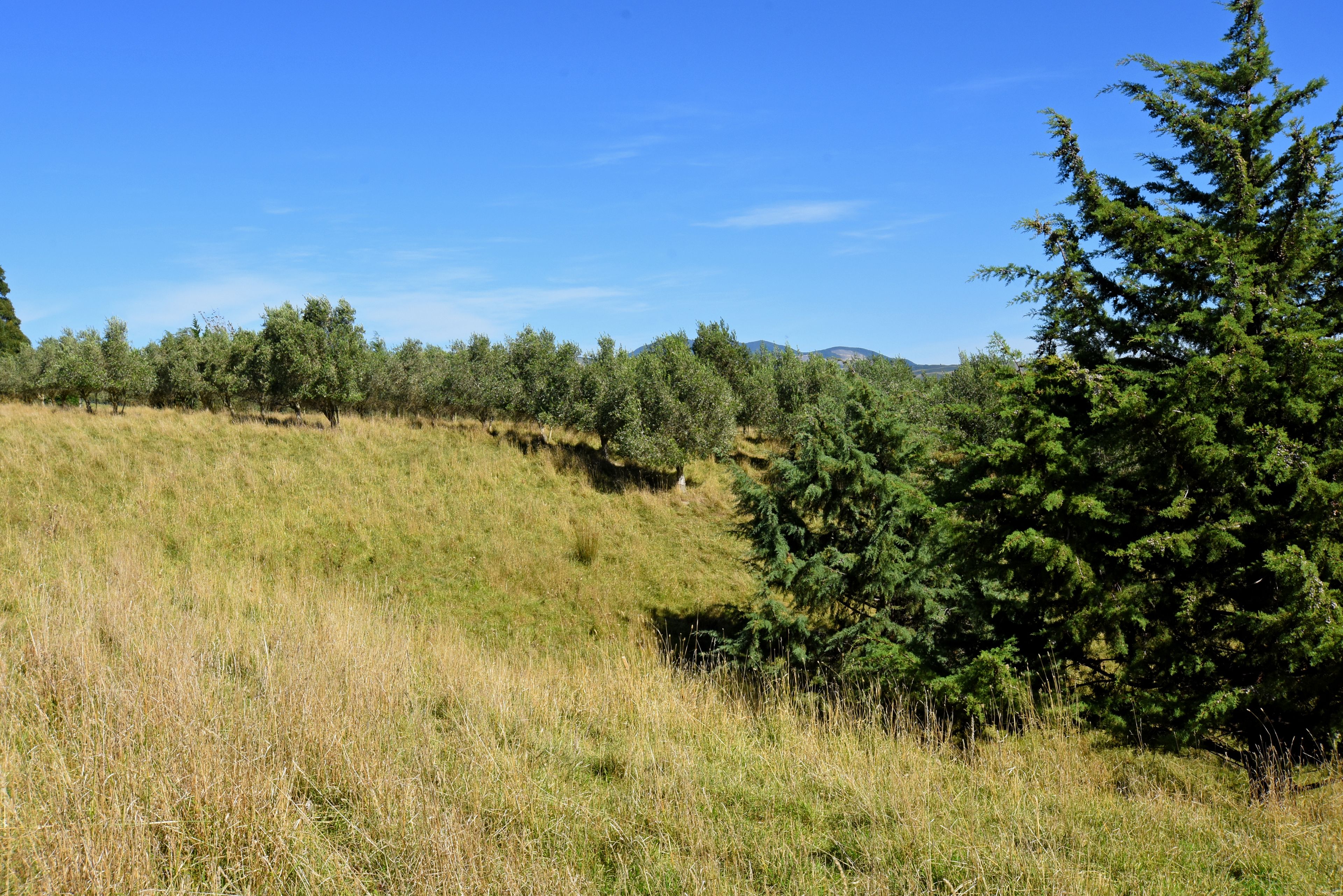 51a Southdown Drive, Martinborough, South Wairarapa District