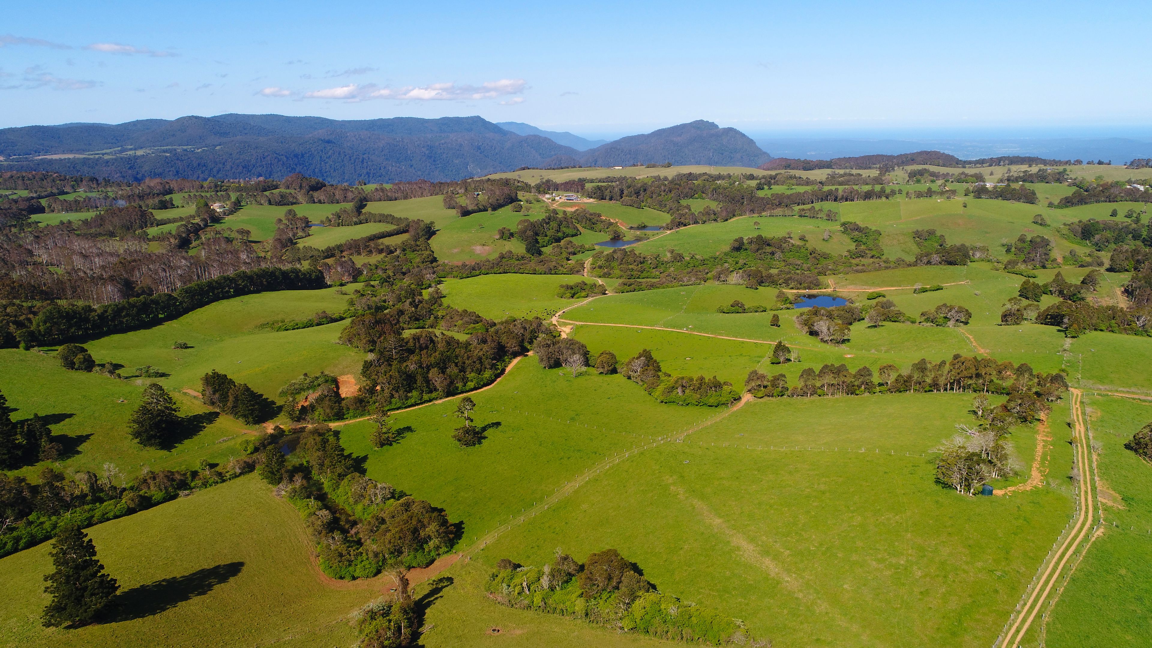 94 Mountain Top Road, Dorrigo, NSW 2453 Sold Rural Dairy Property