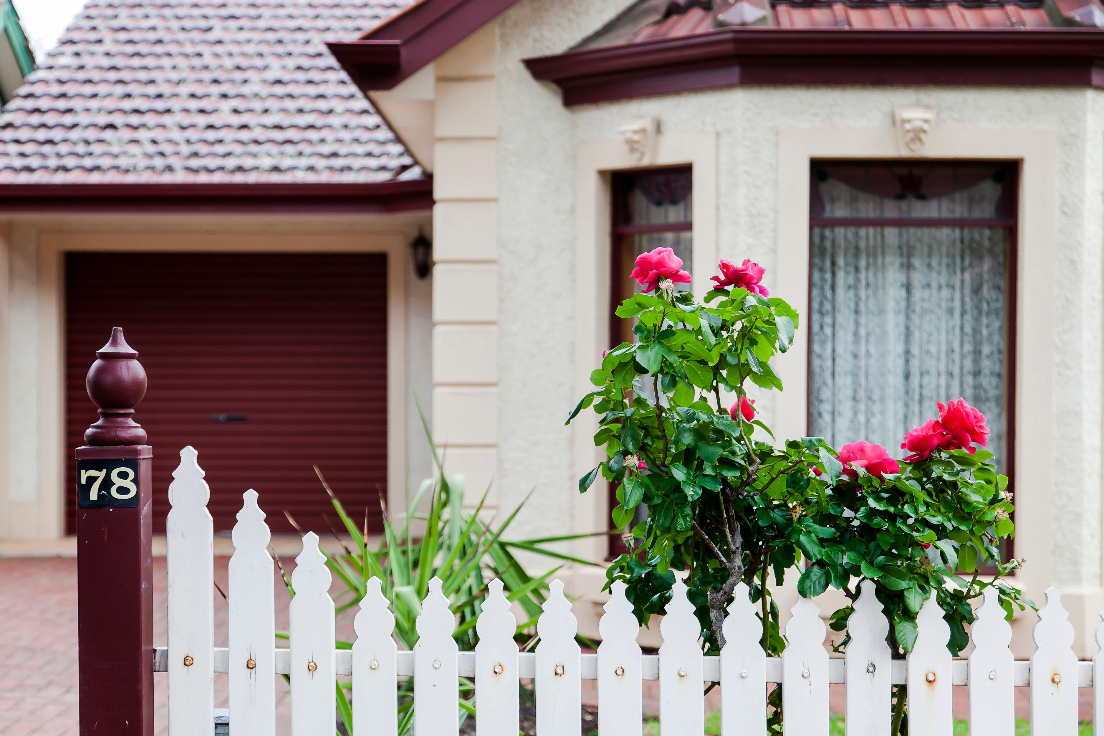 78 Barnes Road, Glynde, SA 5070