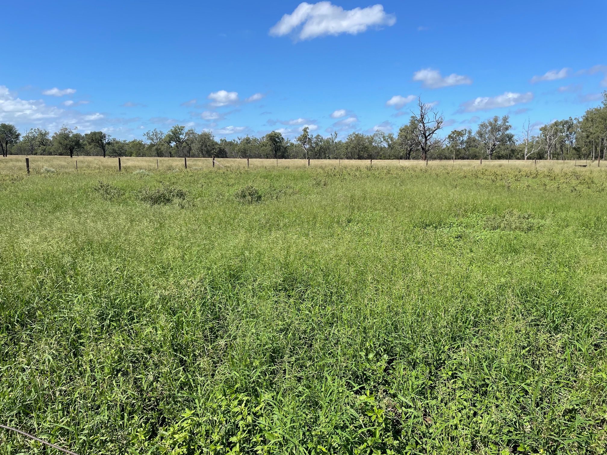 69 Elizabeth Street, Duaringa, QLD 4712