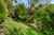 40 Somerville Street photo 18