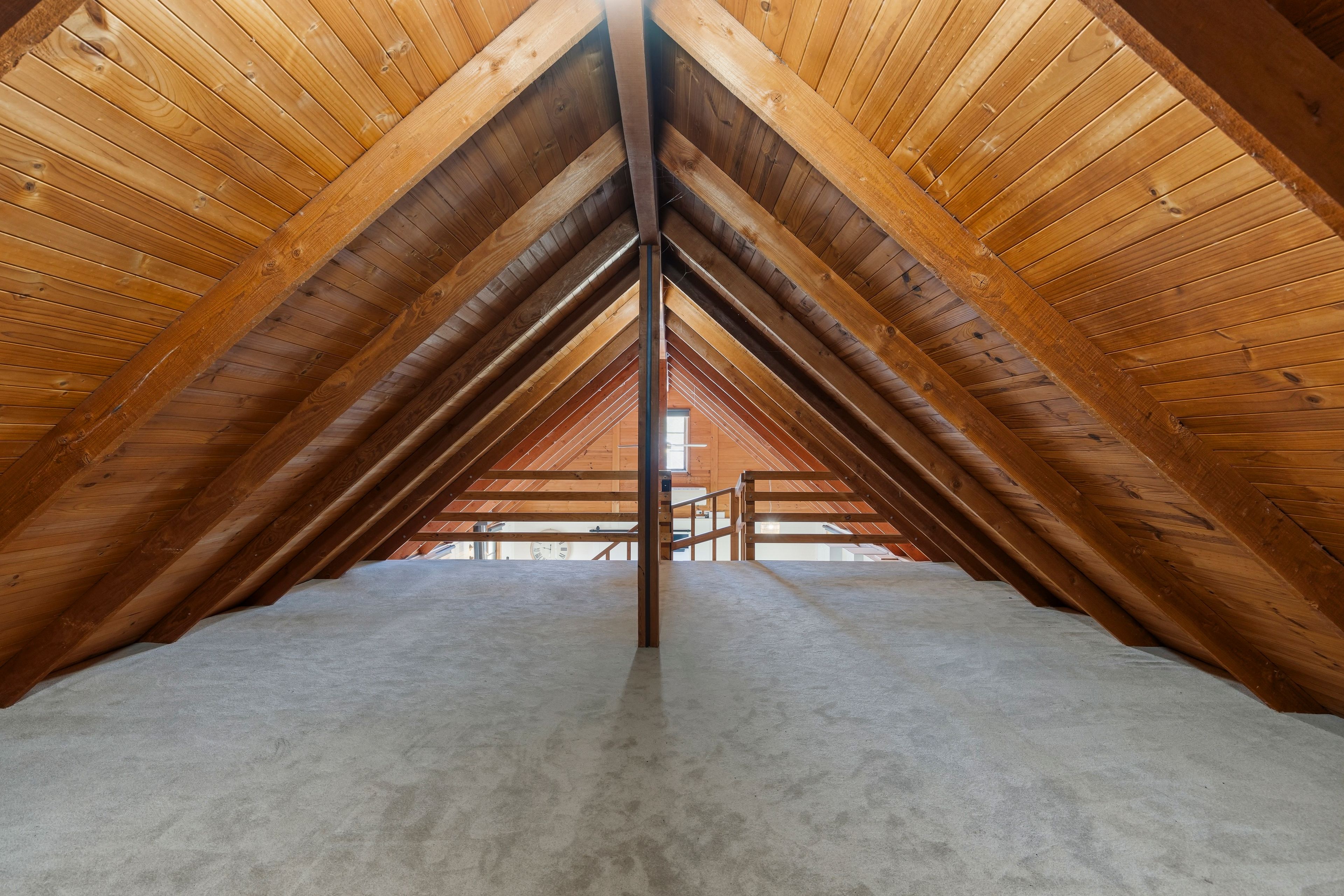 3 Nelson Street — photo 16 of 30