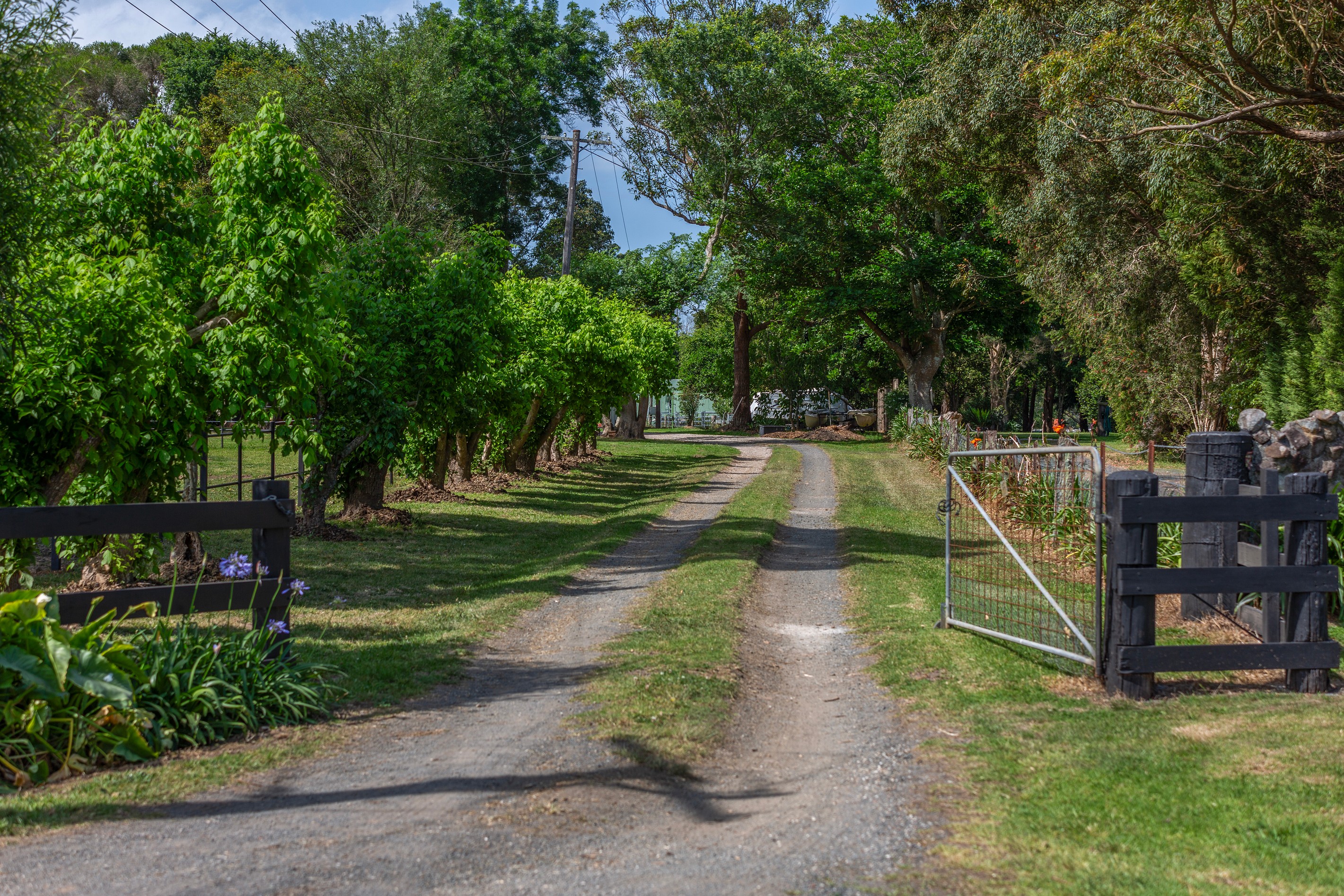 95 Jaspers Brush Road, Jaspers Brush, NSW 2535