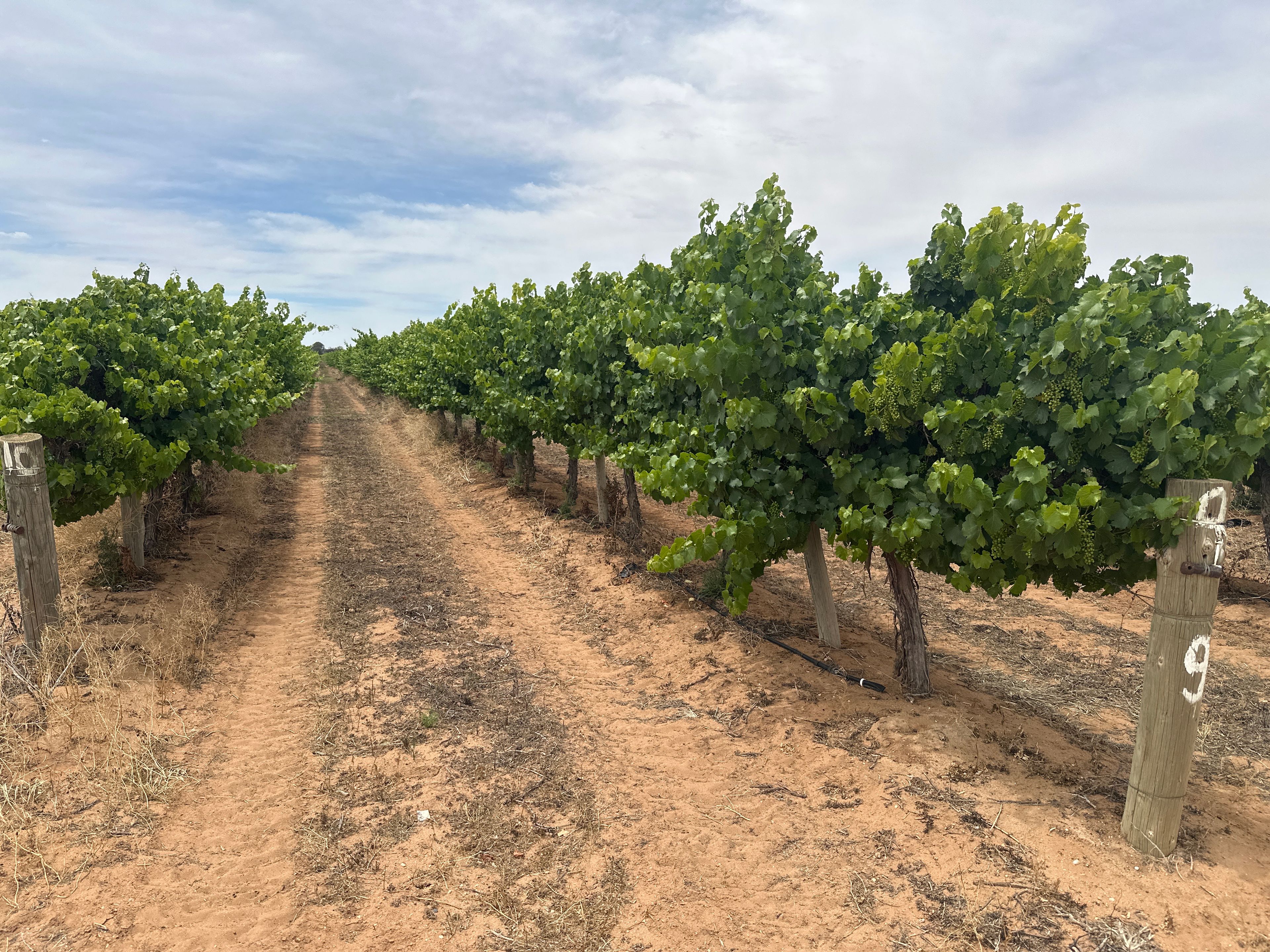 Lot 22 Brand Road — photo 4 of 12